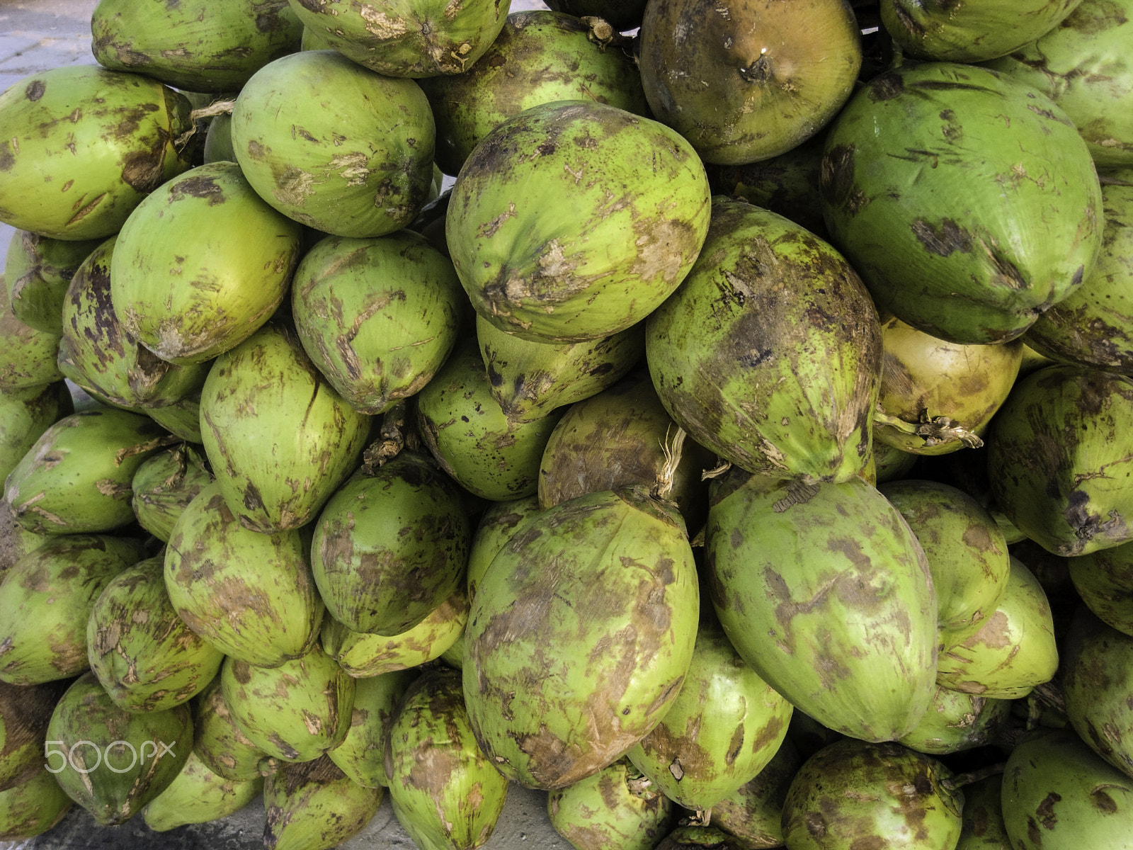 Ricoh GX200 sample photo. Cross section of a number of tender fresh coconuts photography