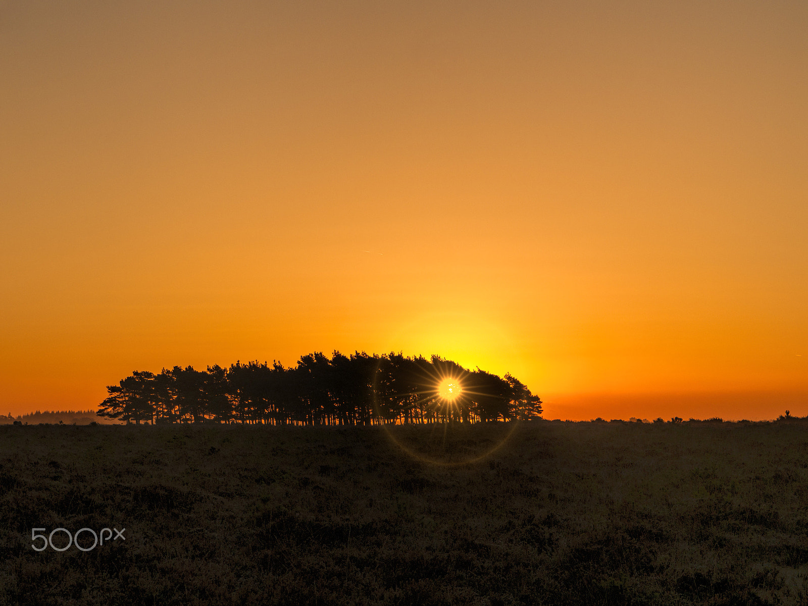 Panasonic Lumix DMC-G5 sample photo. Beaulieu heath clump photography