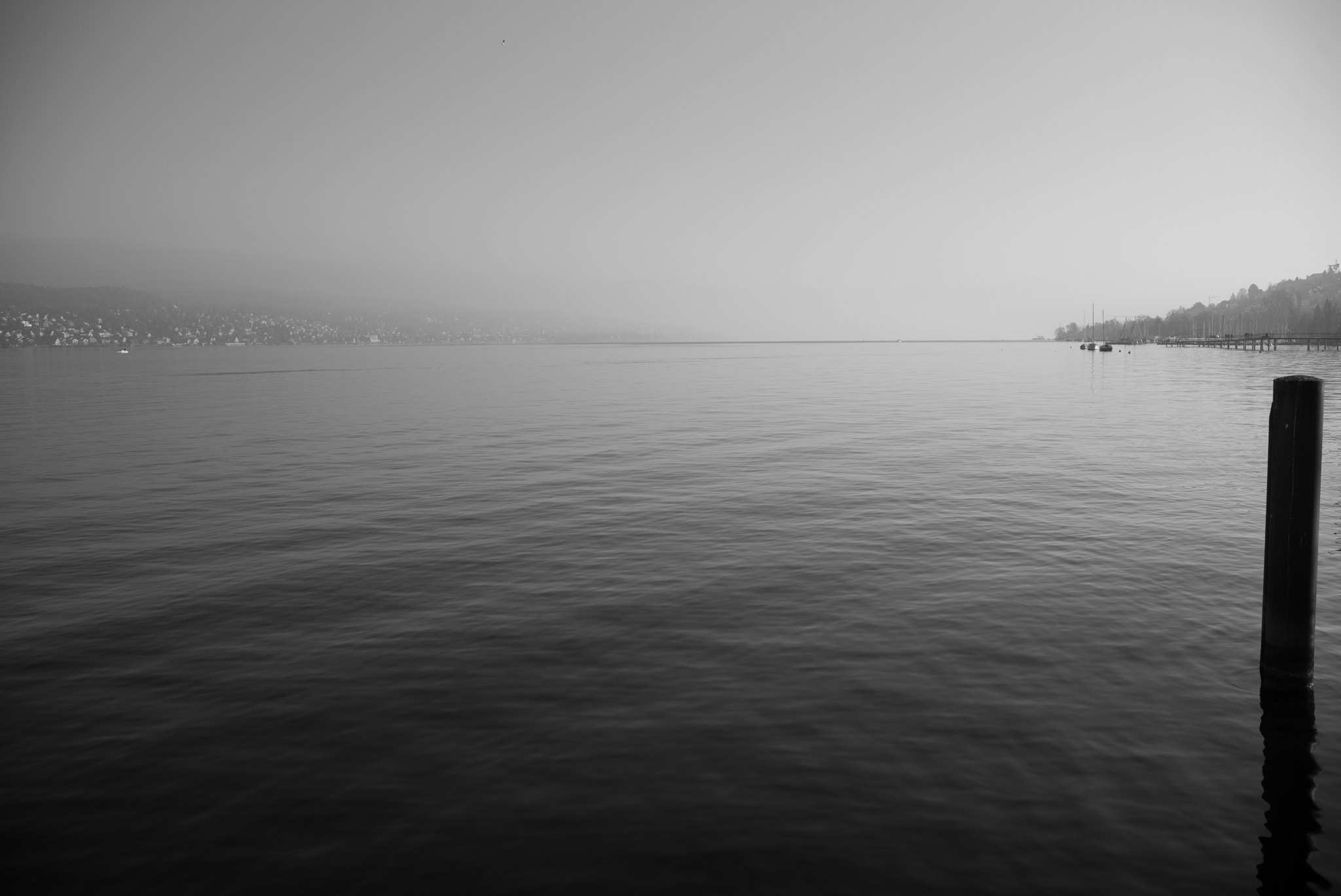 Leica Summilux-M 35mm F1.4 ASPH sample photo. Zürichsee (lake zurich) photography