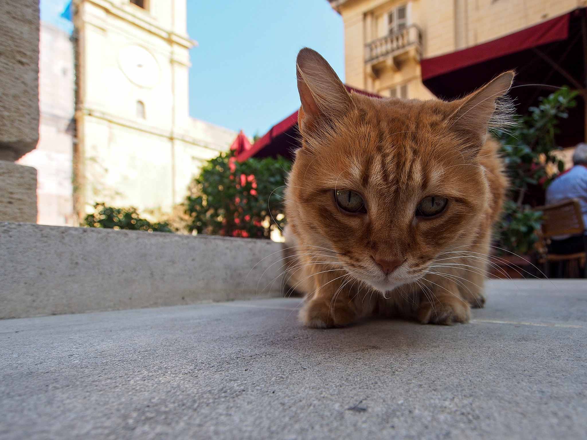 Olympus PEN E-P5 + OLYMPUS M.9-18mm F4.0-5.6 sample photo. Malta photography