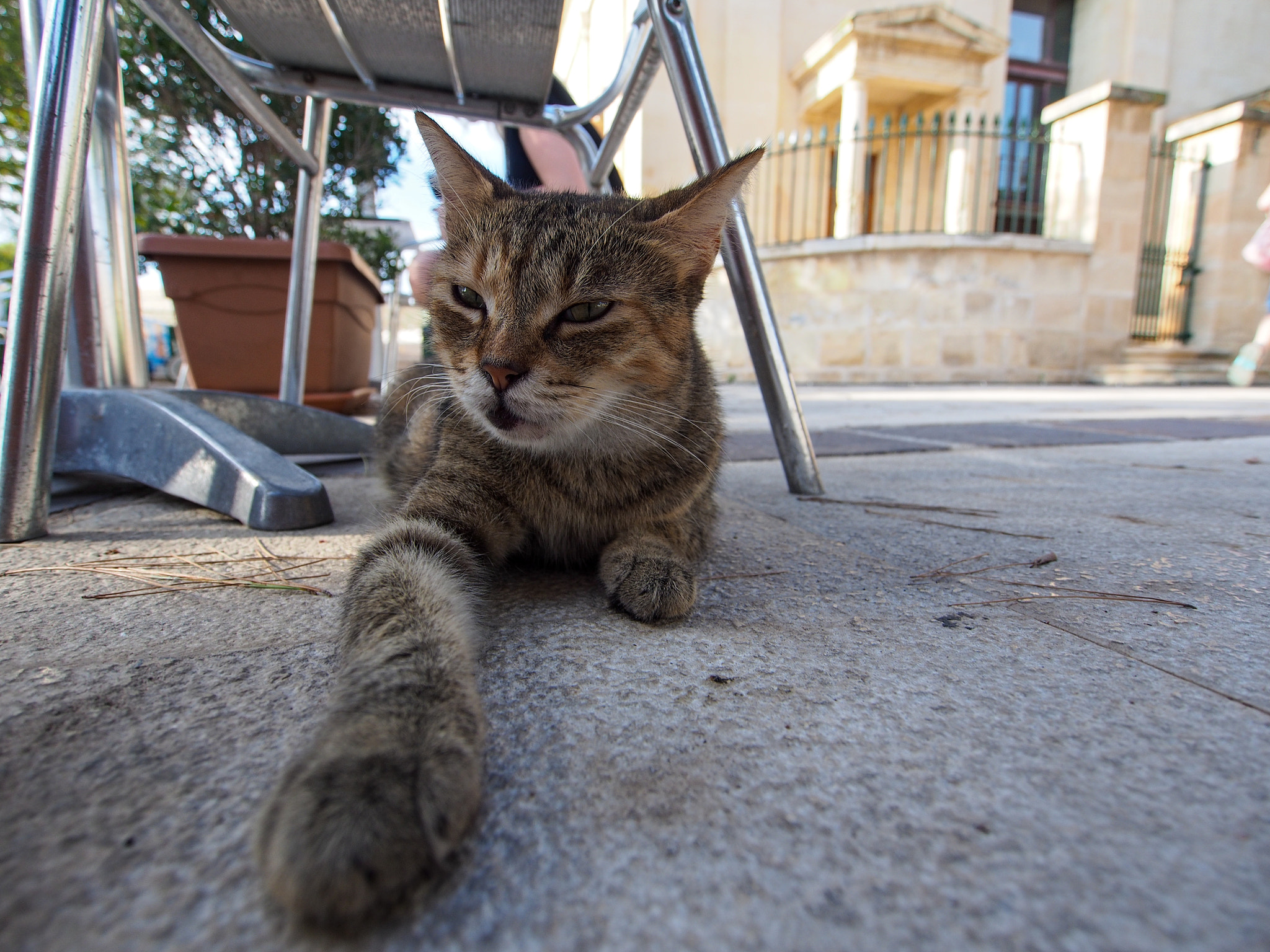 OLYMPUS M.9-18mm F4.0-5.6 sample photo. Malta photography