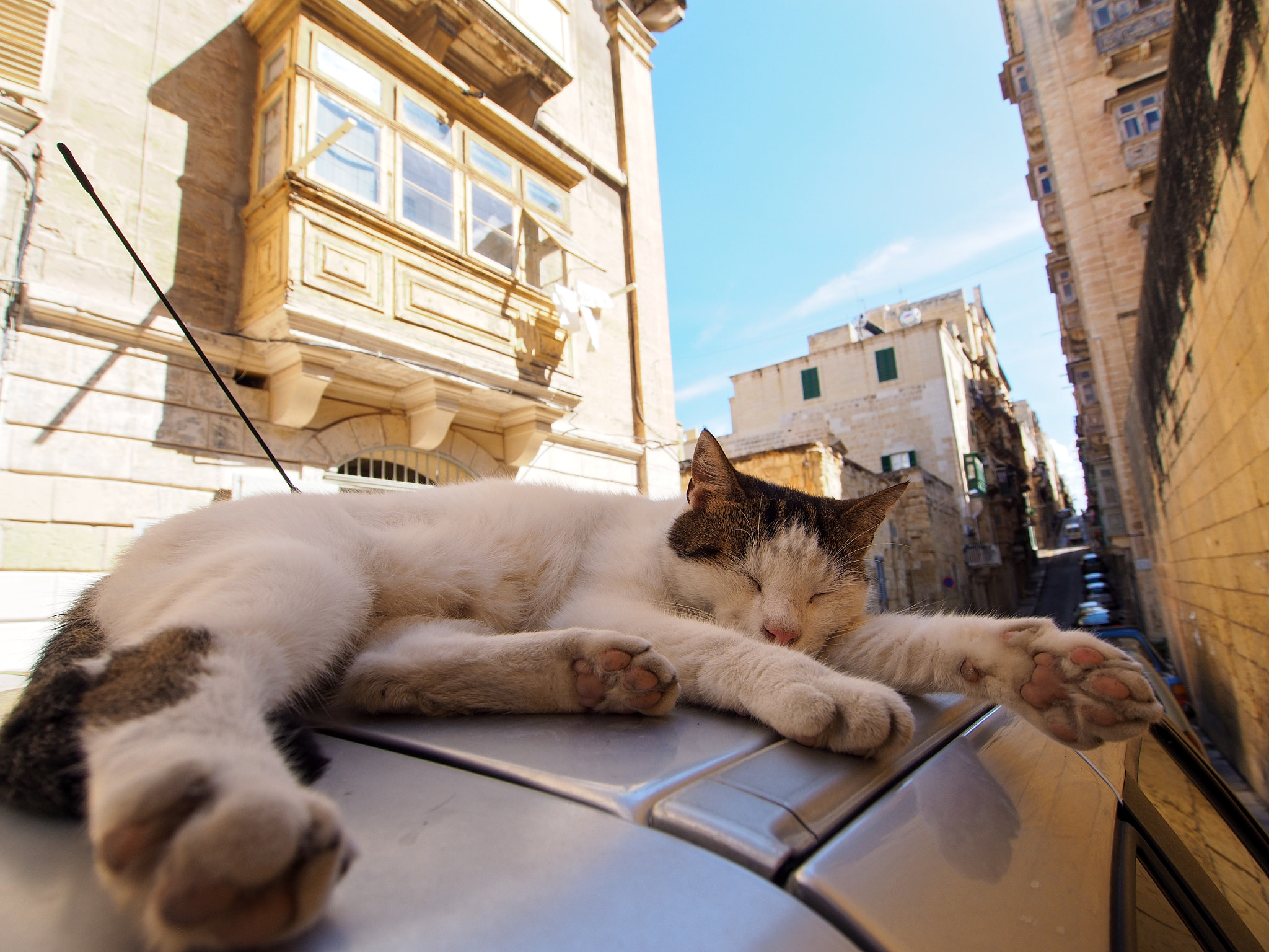 Olympus PEN E-P5 + OLYMPUS M.9-18mm F4.0-5.6 sample photo. Malta photography