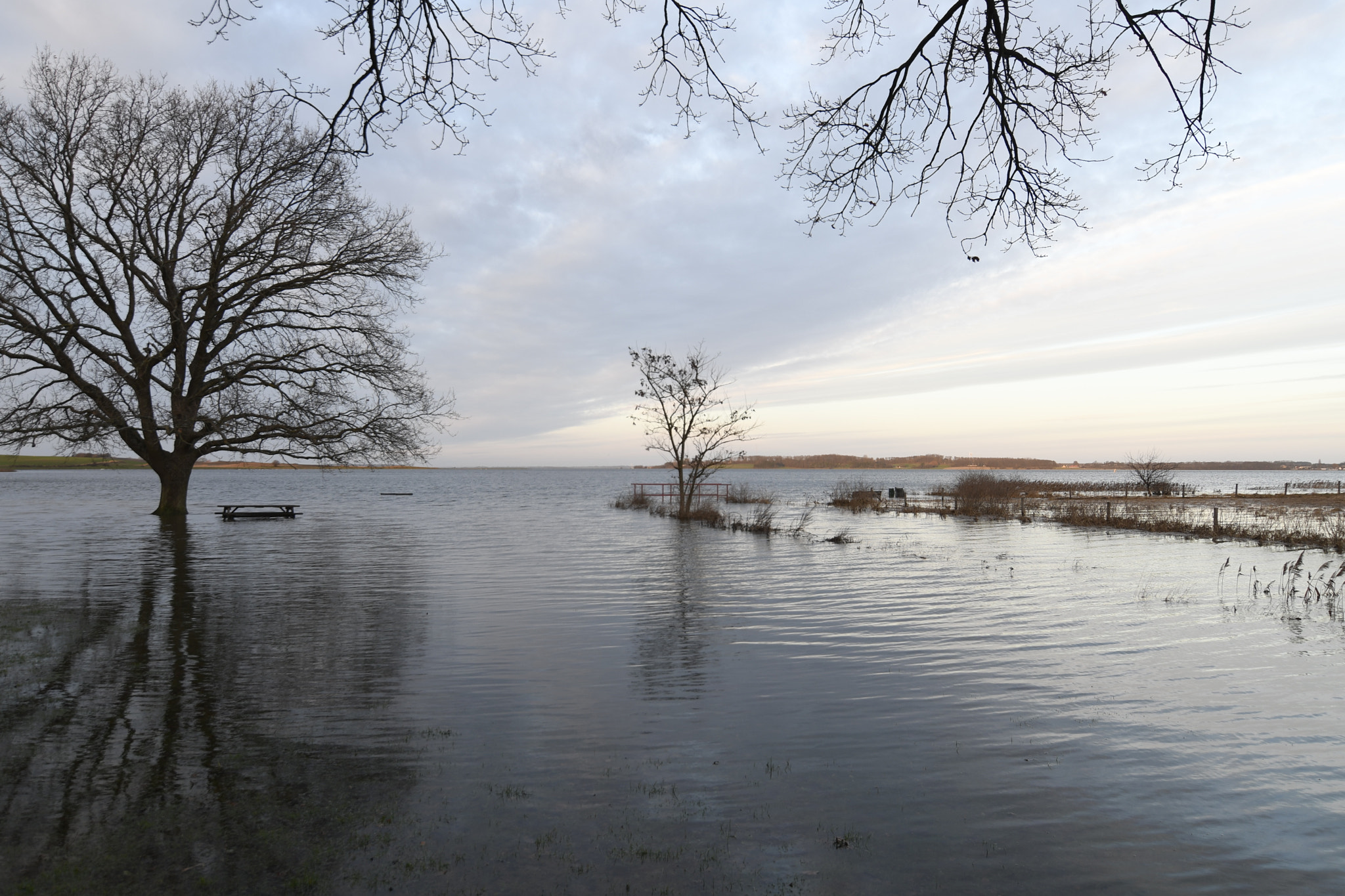 Nikon D500 sample photo. After a storm in roskilde photography