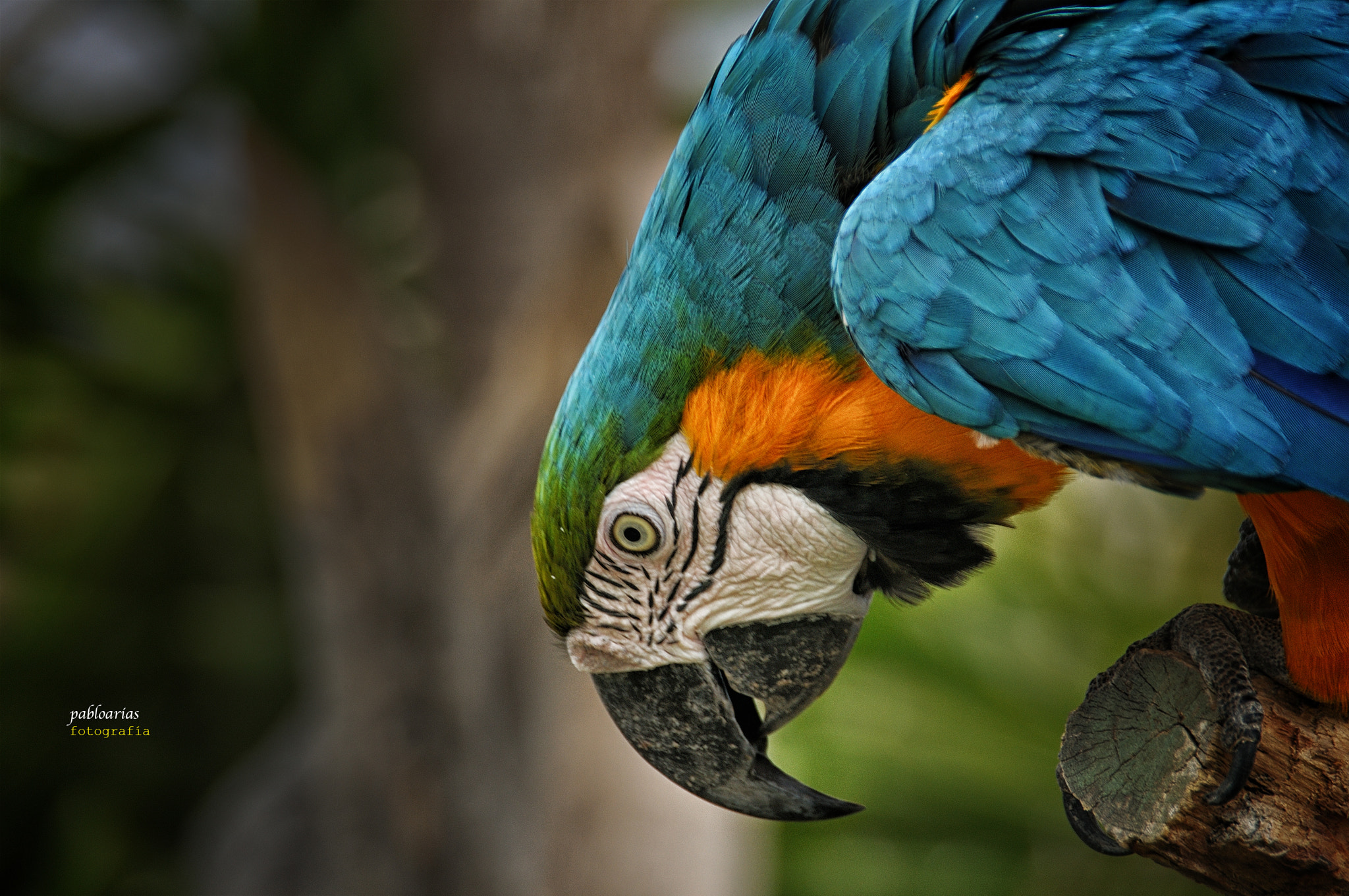 Nikon D300 sample photo. Colors photography
