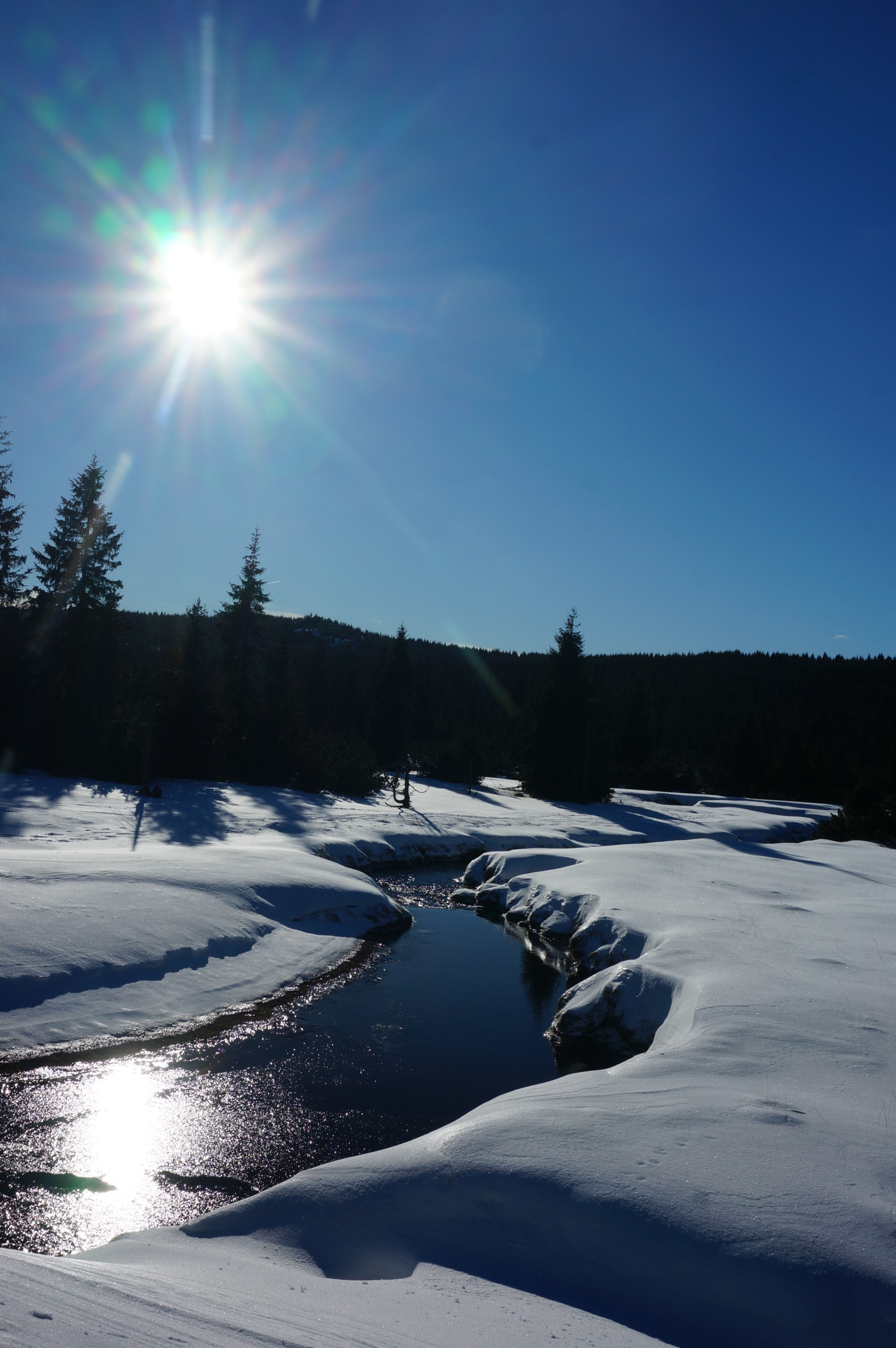 Sony Alpha NEX-6 + Sony E 18-50mm F4-5.6 sample photo. Jizerky photography