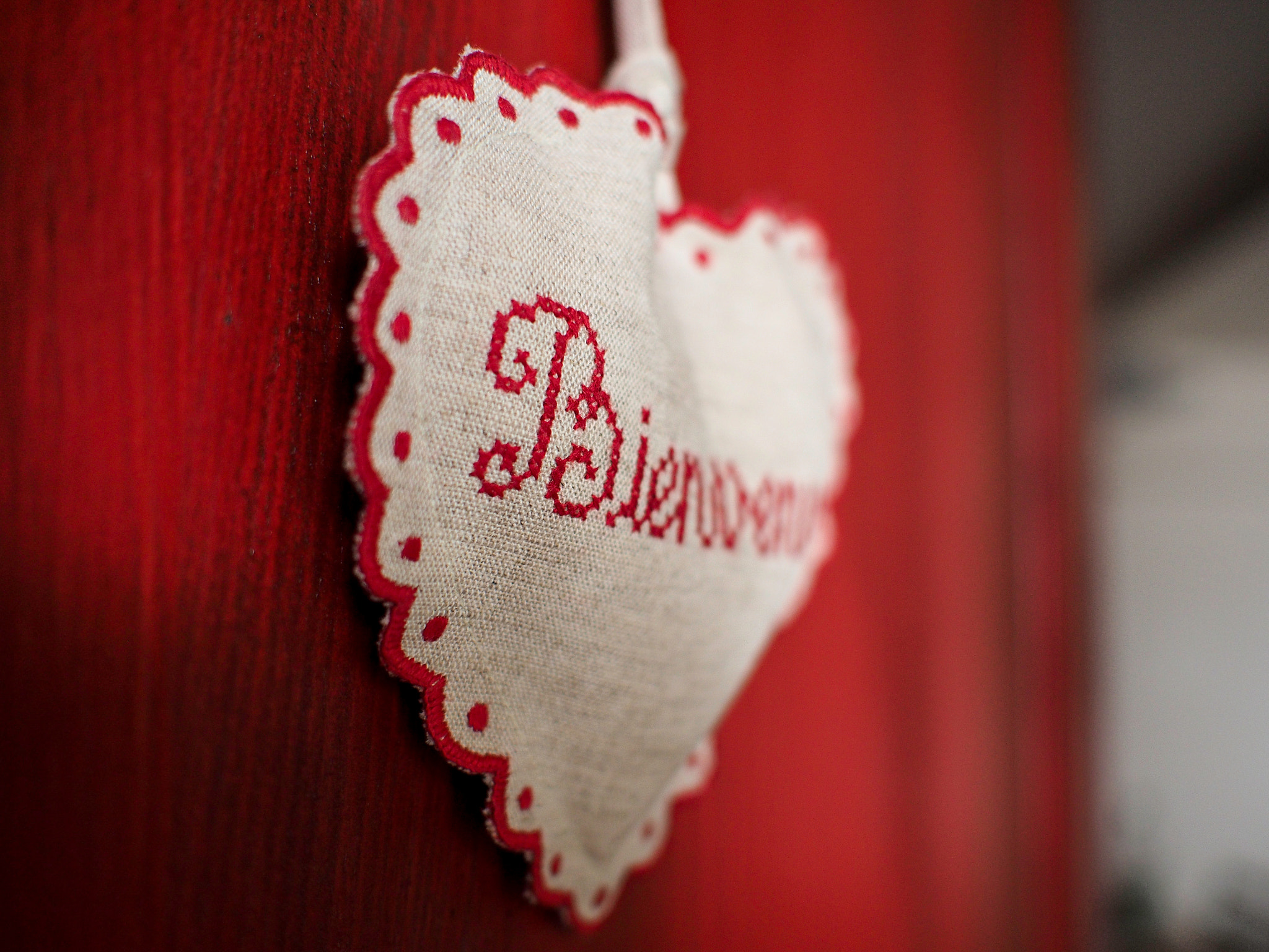 Olympus PEN E-P5 sample photo. Strasbourg photography