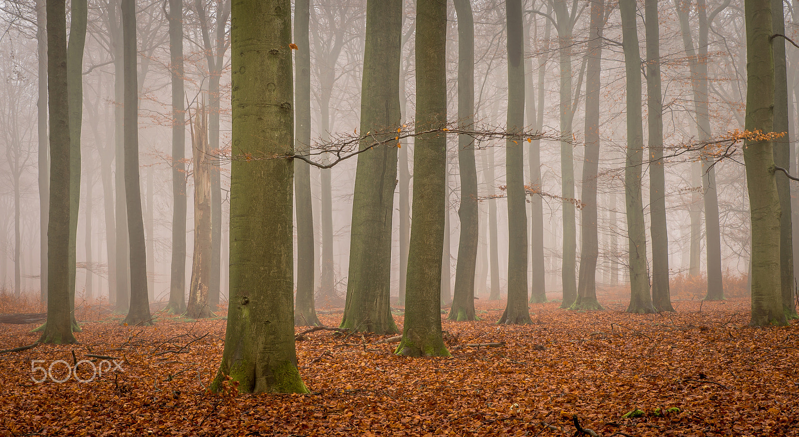 Sony SLT-A99V sample photo. Into the unknown photography