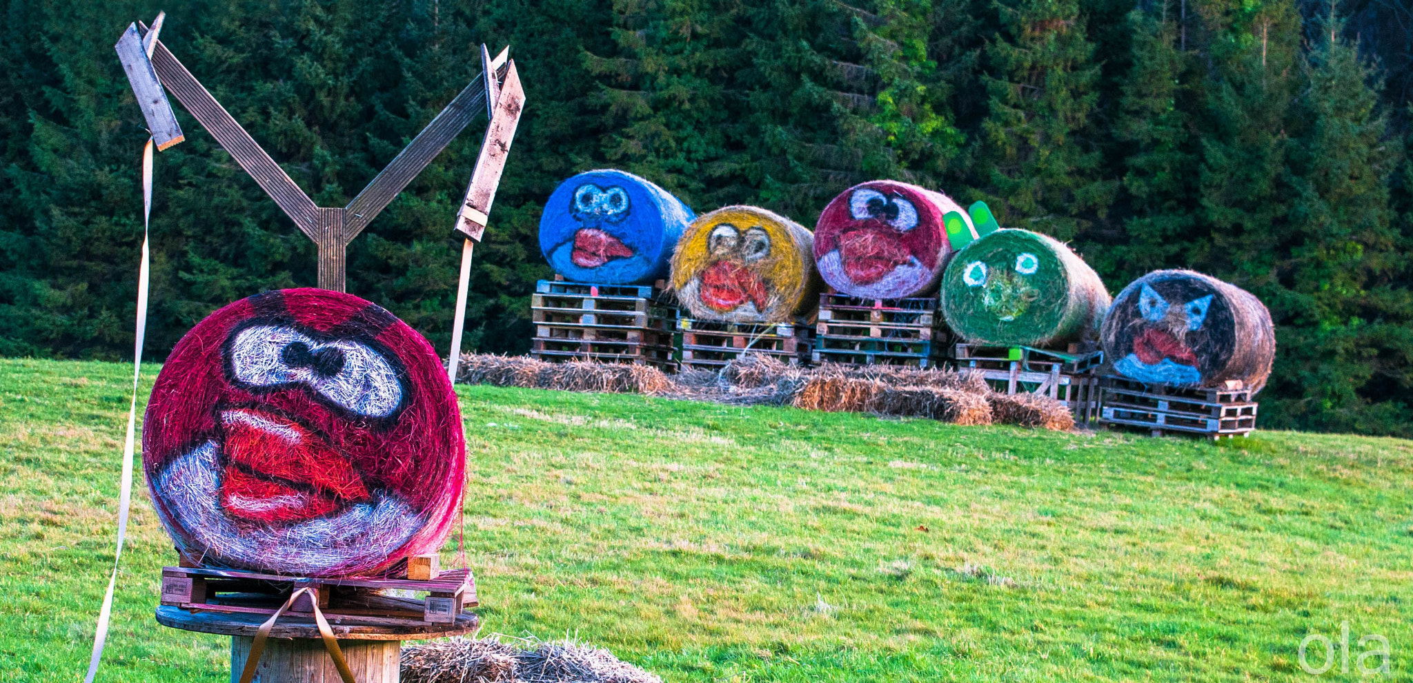 Nikon D300S sample photo. The angry birds photography