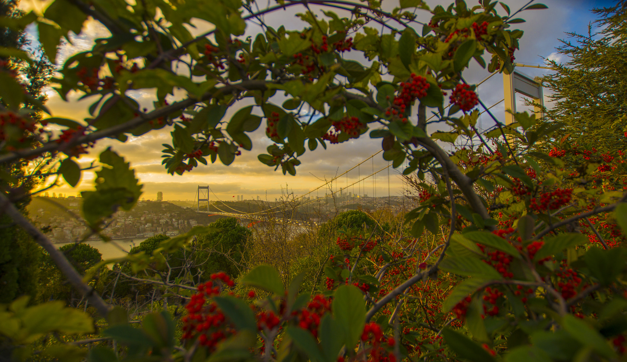 Nikon D5100 + Sigma 10-20mm F3.5 EX DC HSM sample photo. Fatih sultan mehmet köprüsü photography