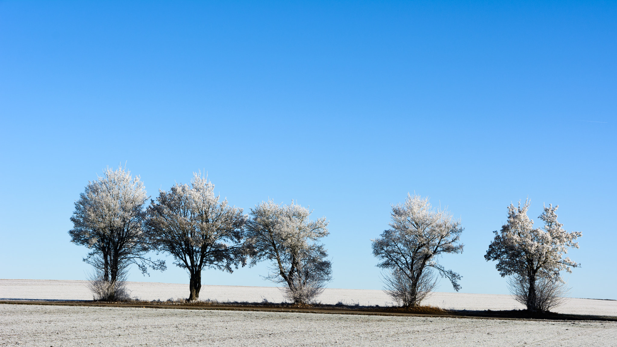 Sigma 17-70mm F2.8-4 DC Macro OS HSM sample photo. Cold photography