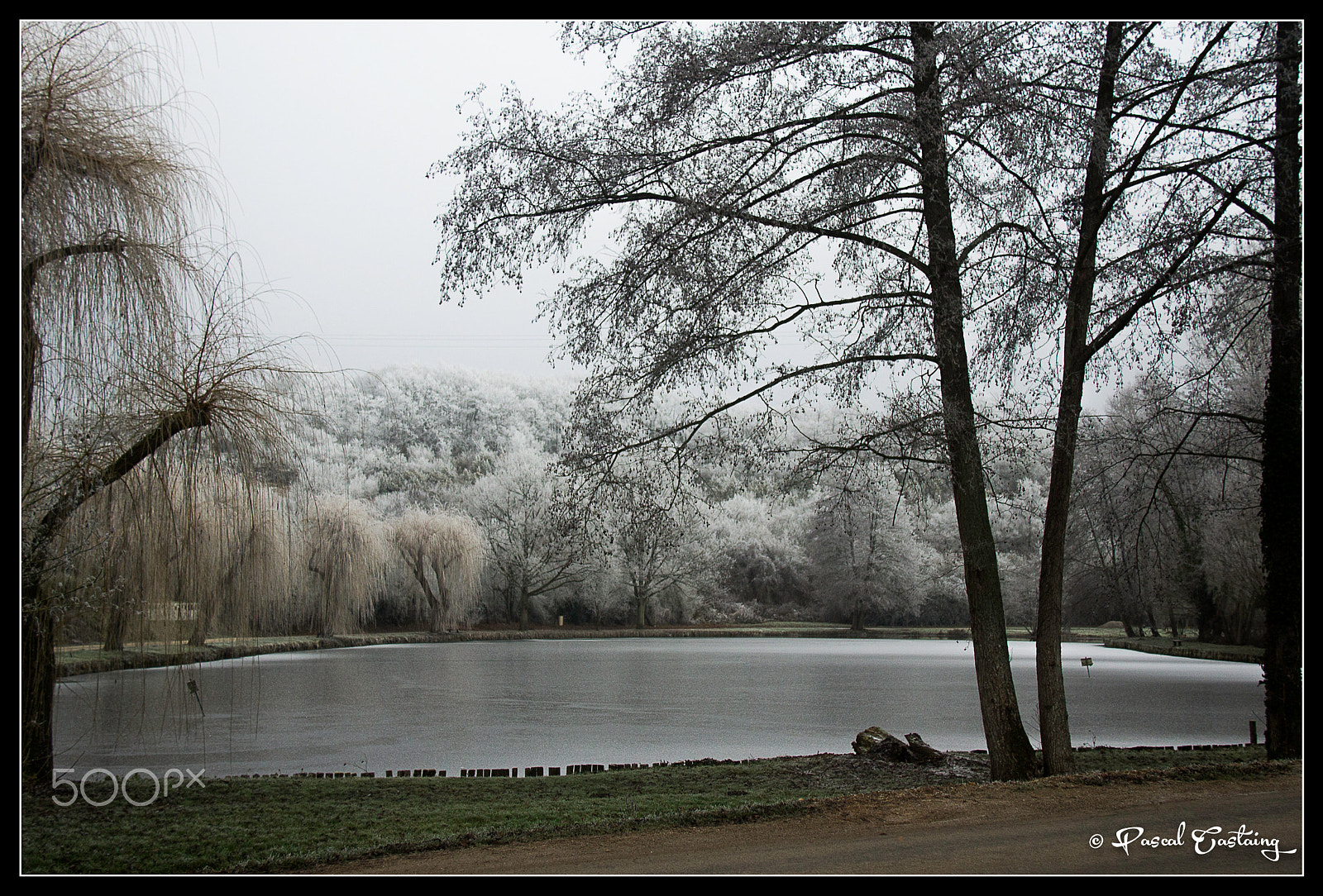 Canon EF-S 18-200mm F3.5-5.6 IS sample photo. Freeze photography