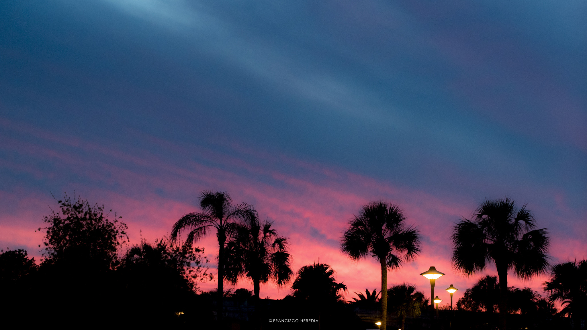 Sony a7S II sample photo. Orlando florida photography