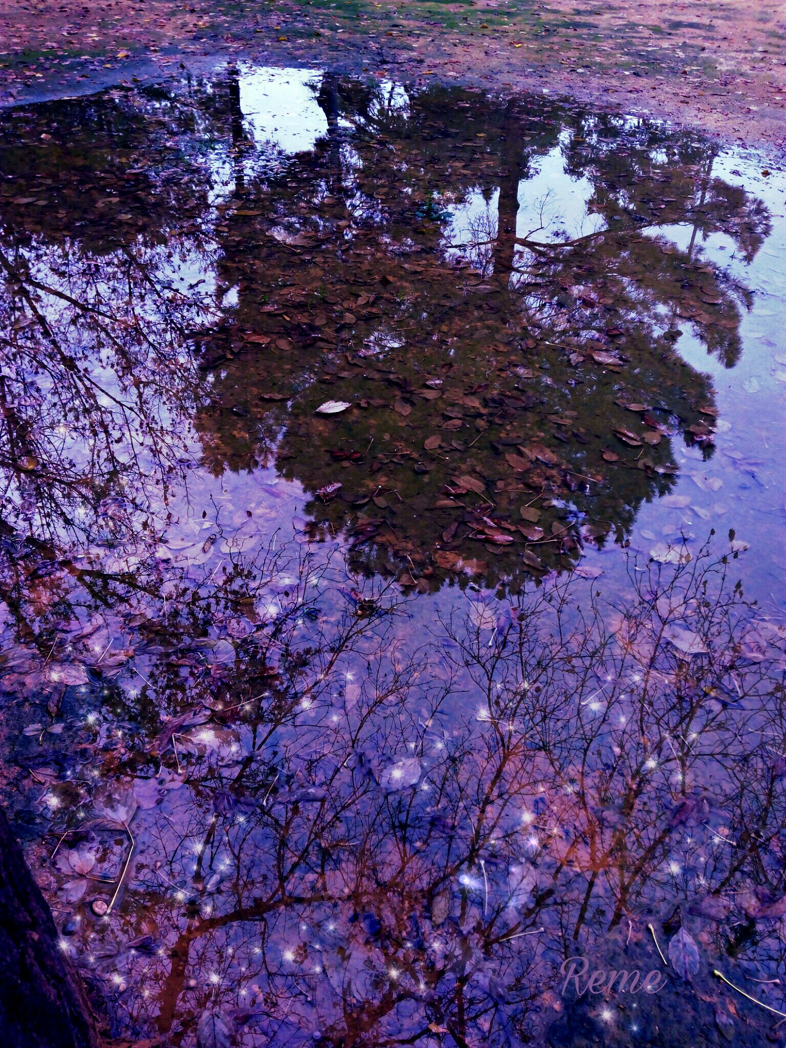 bq Aquaris E5 HD sample photo. Reflejo photography