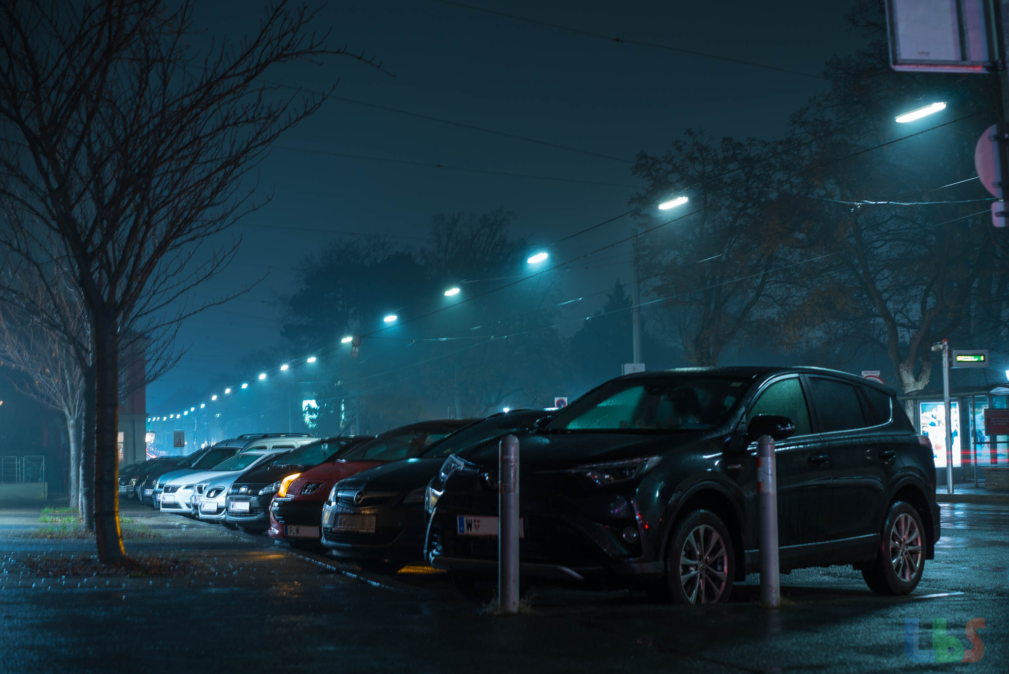 Sony a7S II + Sony Sonnar T* FE 55mm F1.8 ZA sample photo. Rainynights photography
