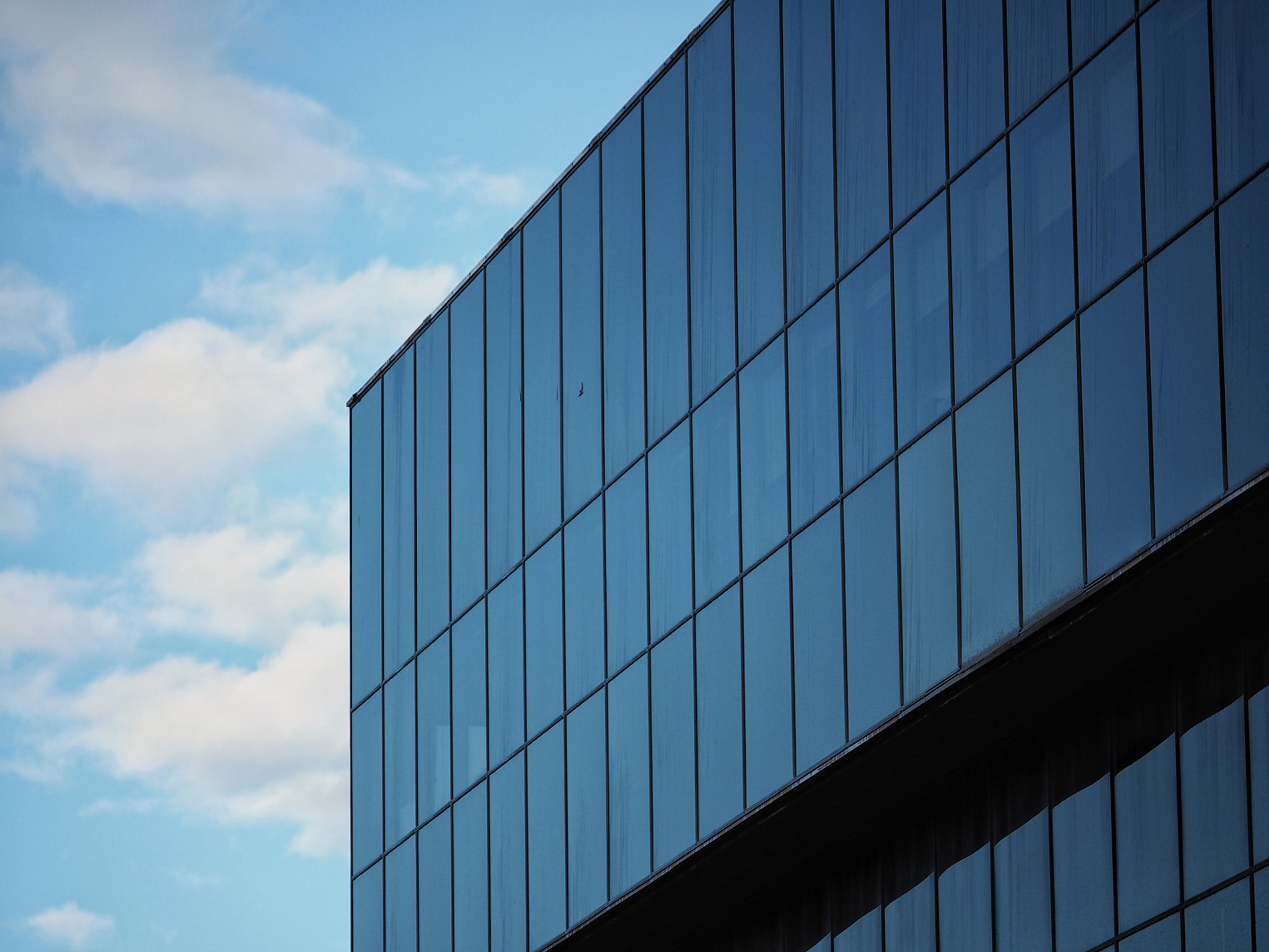 Panasonic Lumix G X Vario 35-100mm F2.8 OIS sample photo