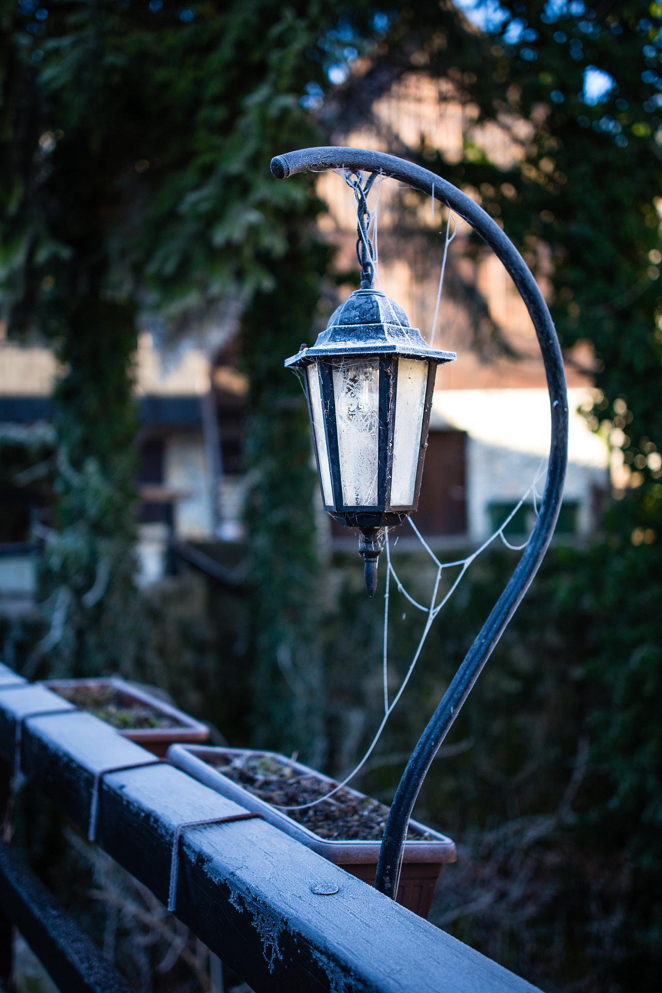 Sigma 24-35mm F2 DG HSM Art sample photo. Frozen light photography