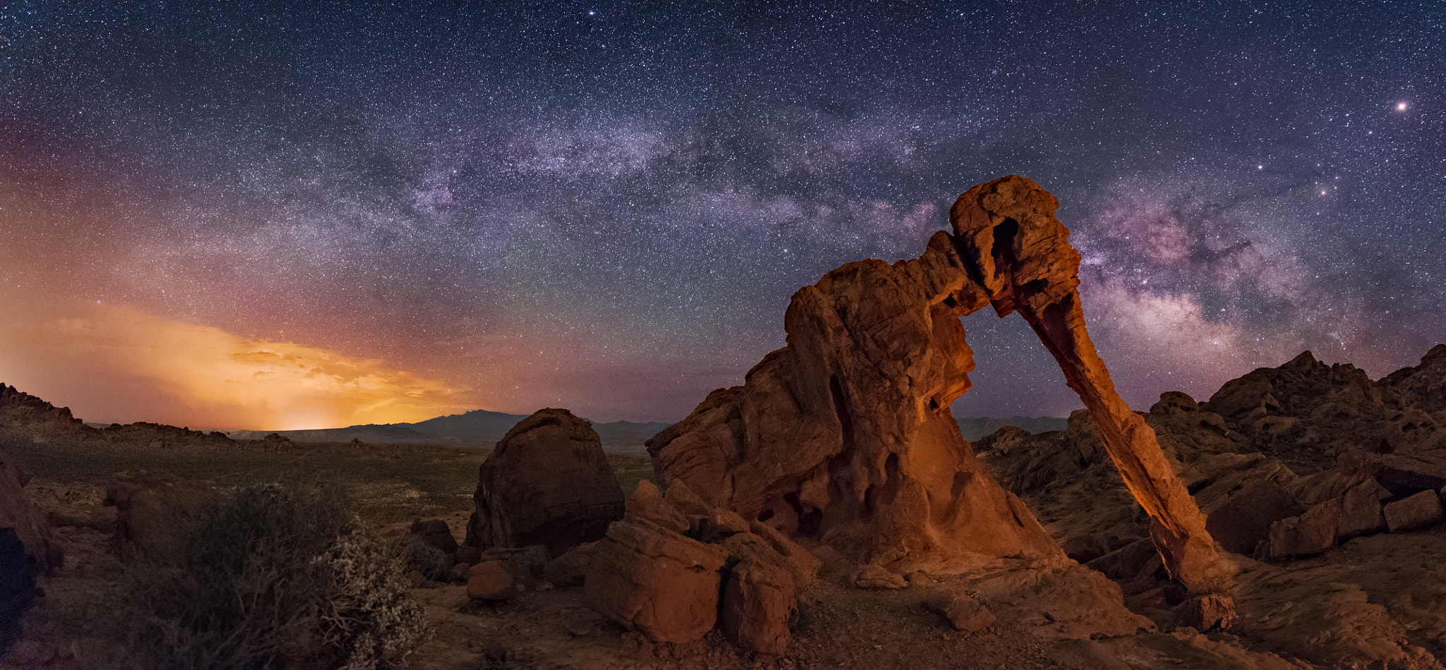 Nikon D810A + Nikon AF-S Nikkor 14-24mm F2.8G ED sample photo. The elephant walks at night photography