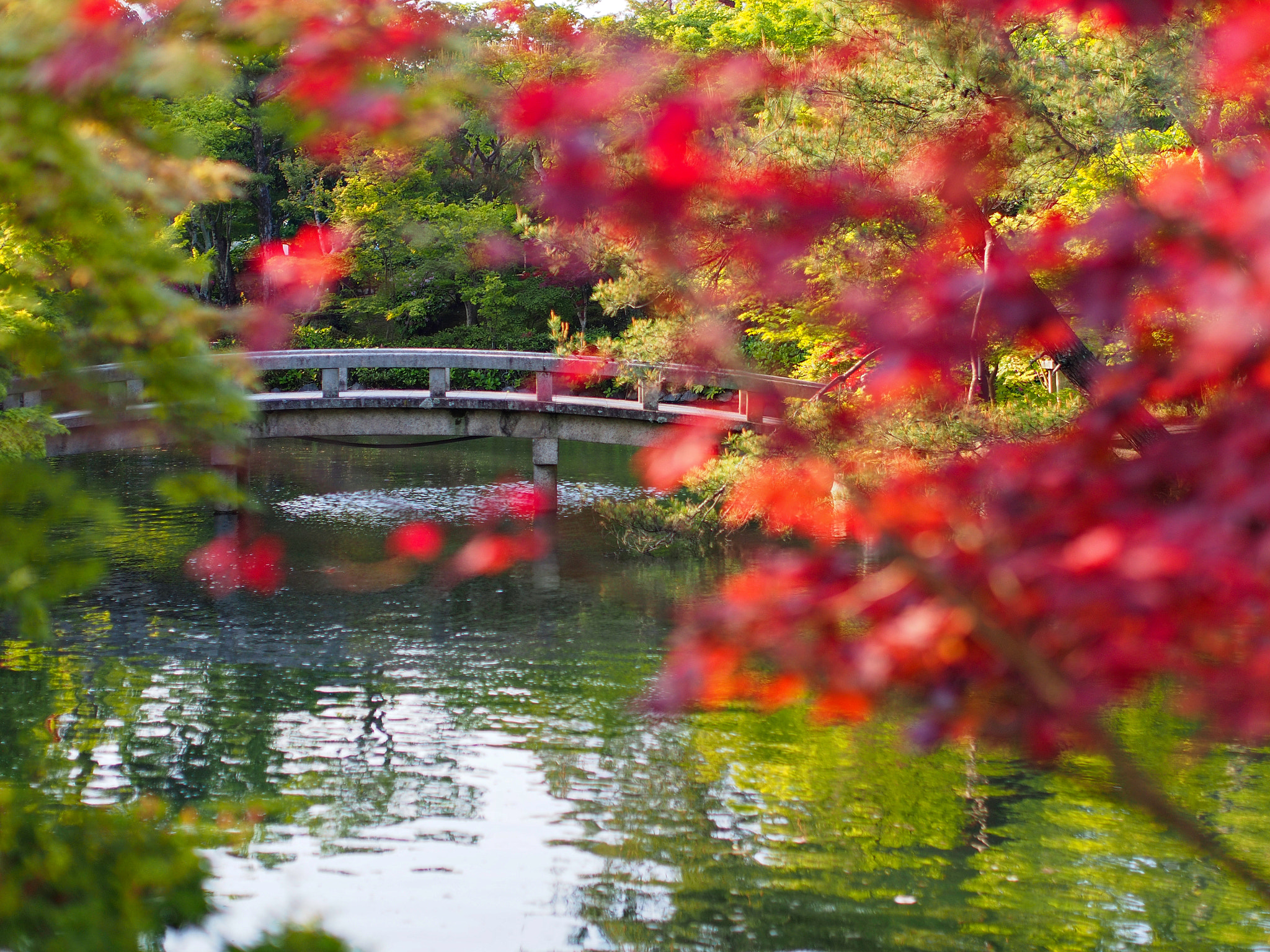 Olympus PEN E-PL5 sample photo. Kyoto photography