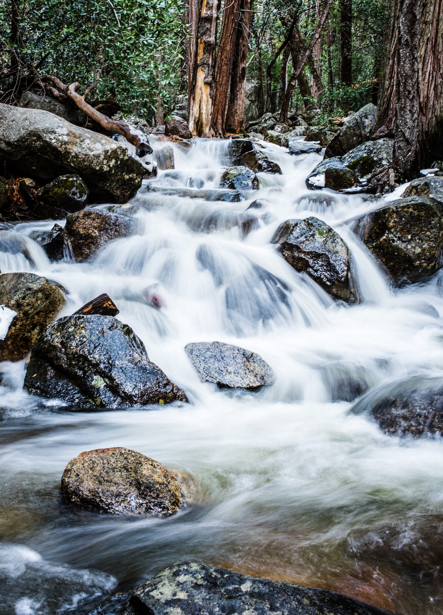 Nikon D810 sample photo. Yosemite stream photography