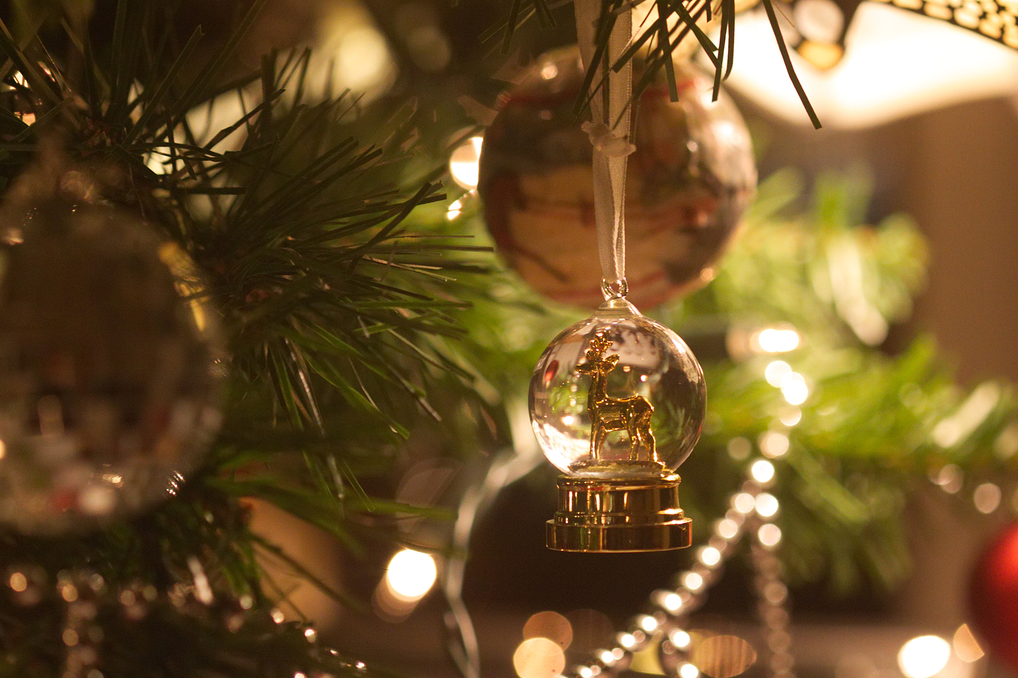 Canon EF 100mm F2.8 Macro USM sample photo. Jingle balls photography