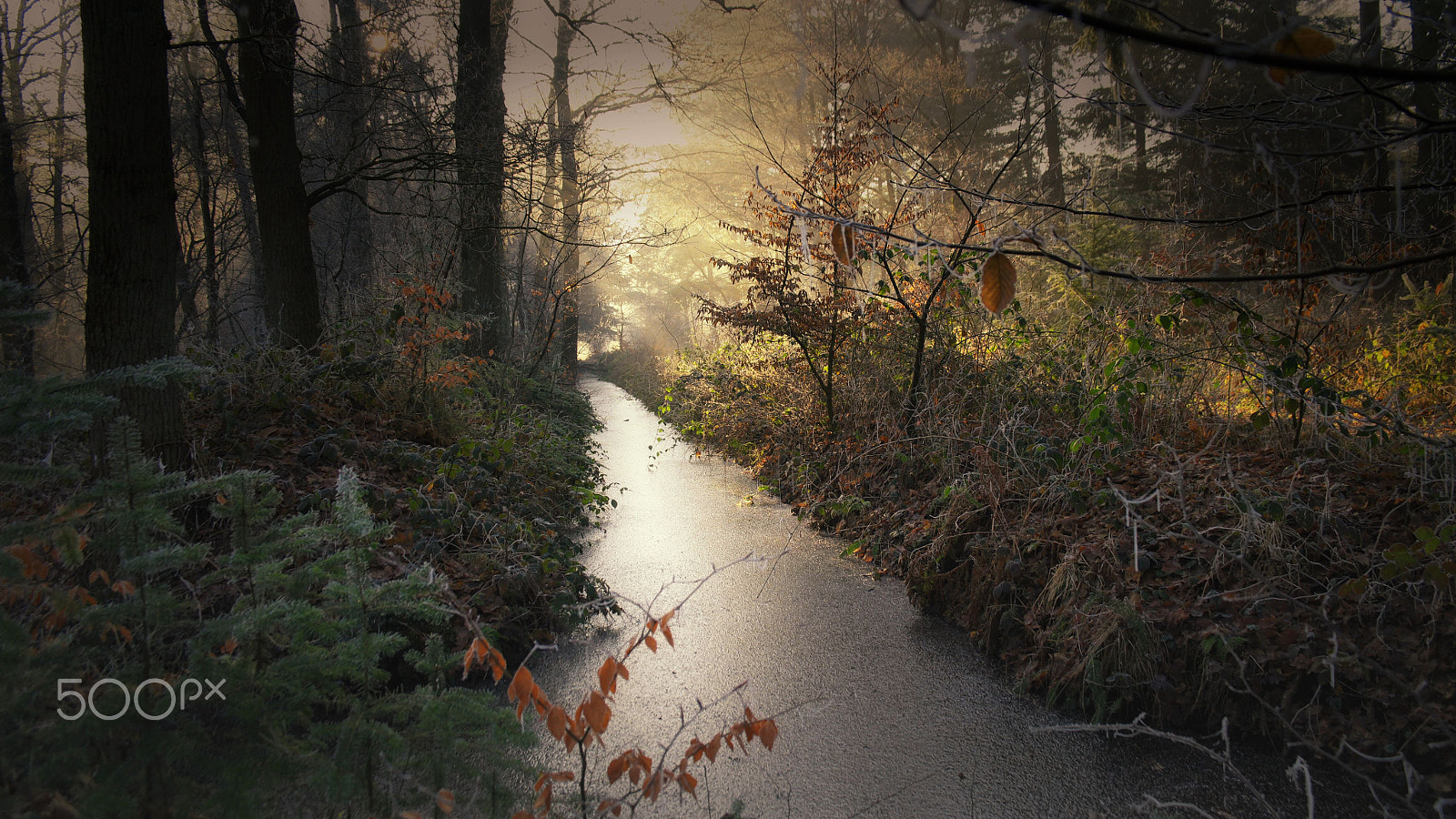 NX 18-200mm F3.5-6.3 sample photo. Winter wonderland photography