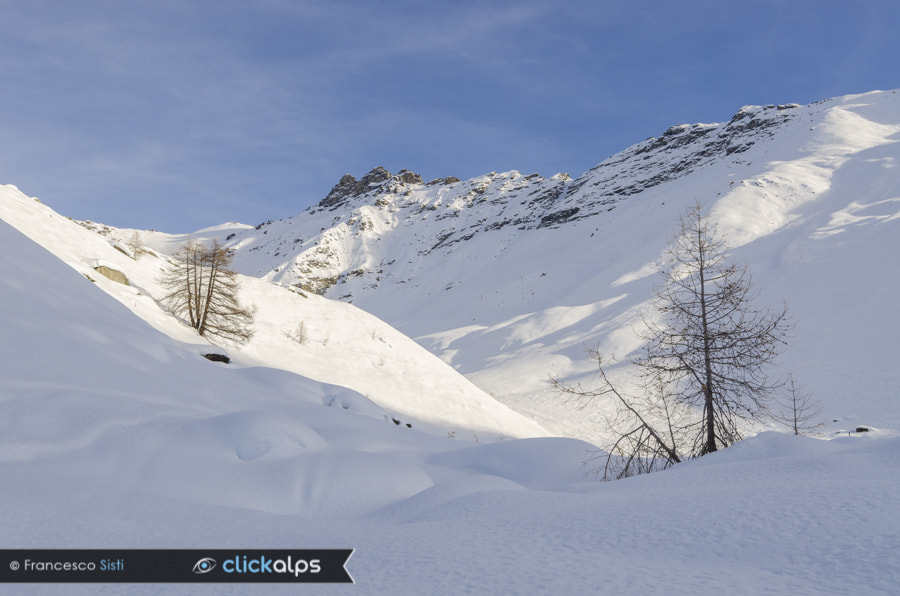 Nikon AF-S Nikkor 16-35mm F4G ED VR sample photo. Cime di gollien (rhêmes valley) photography