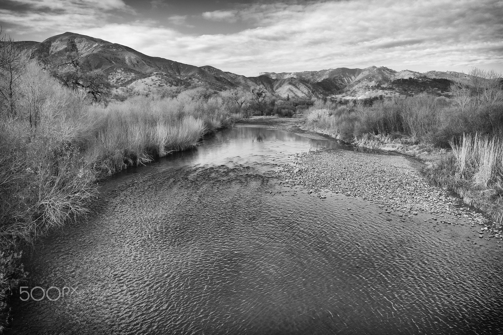 Fujifilm X-Pro1 + Fujifilm XF 16-55mm F2.8 R LM WR sample photo. Rumsey photography