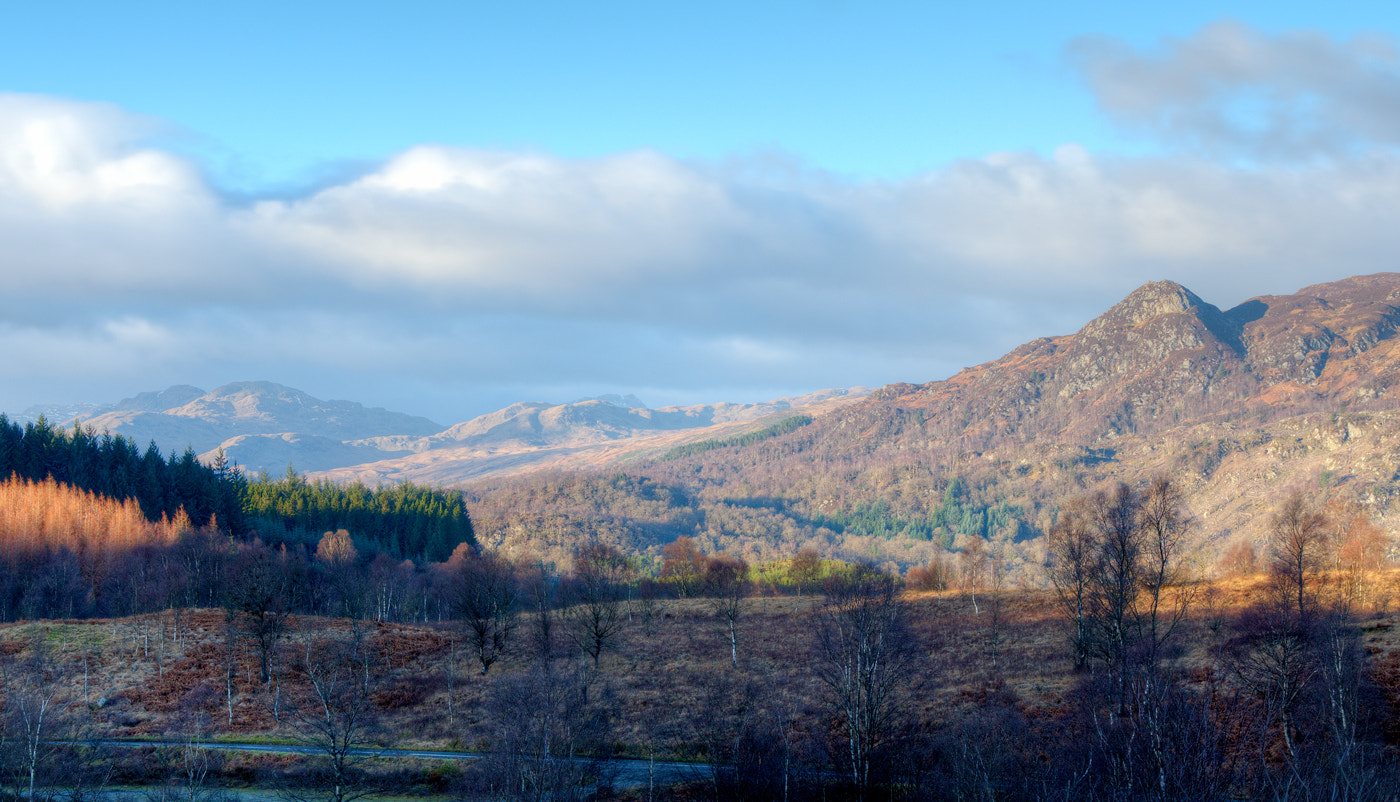 Nikon D500 sample photo. View from duke's pass photography
