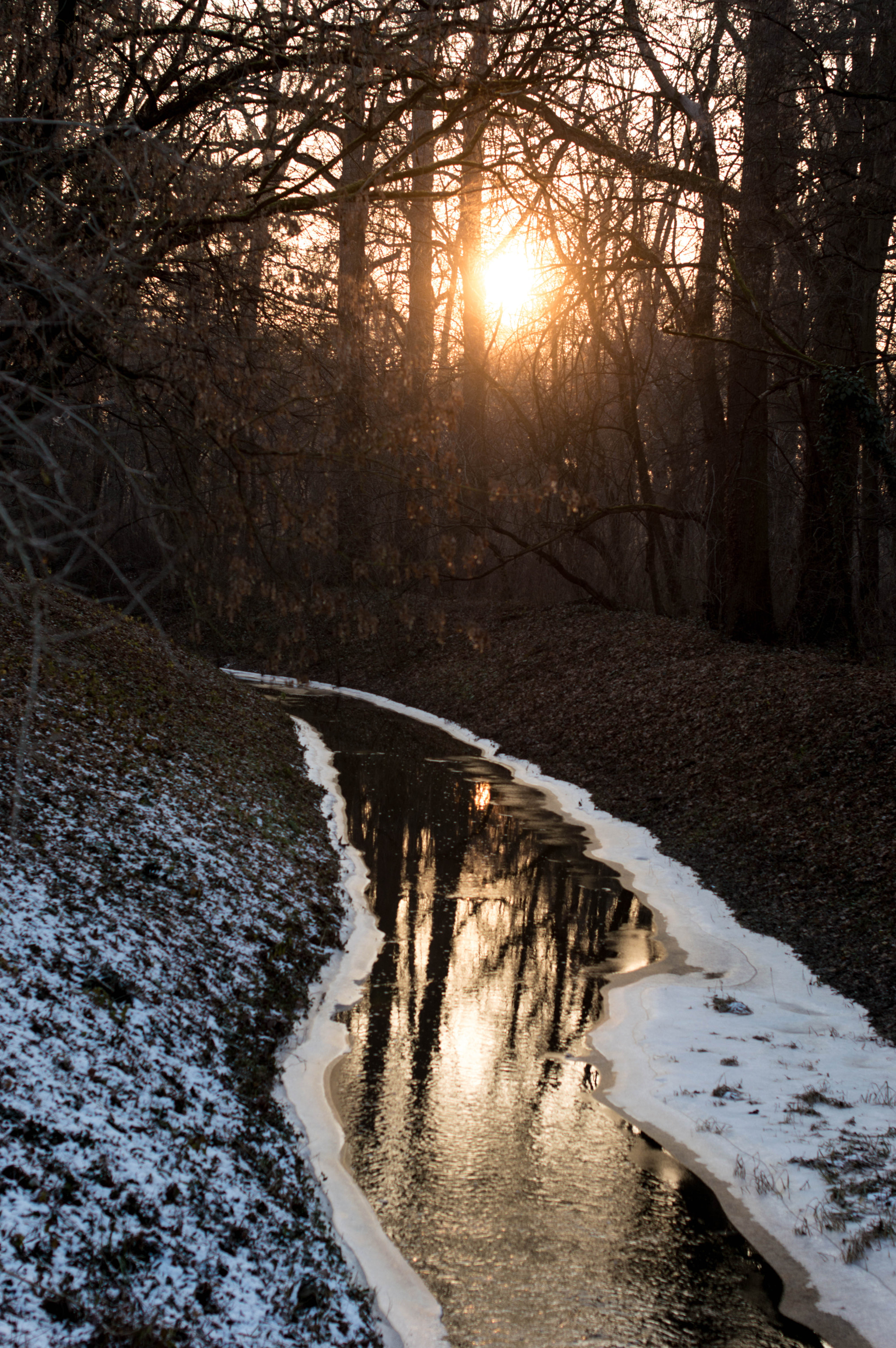 Nikon D3200 + Nikon AF-S Nikkor 50mm F1.4G sample photo. Golden at sunset photography