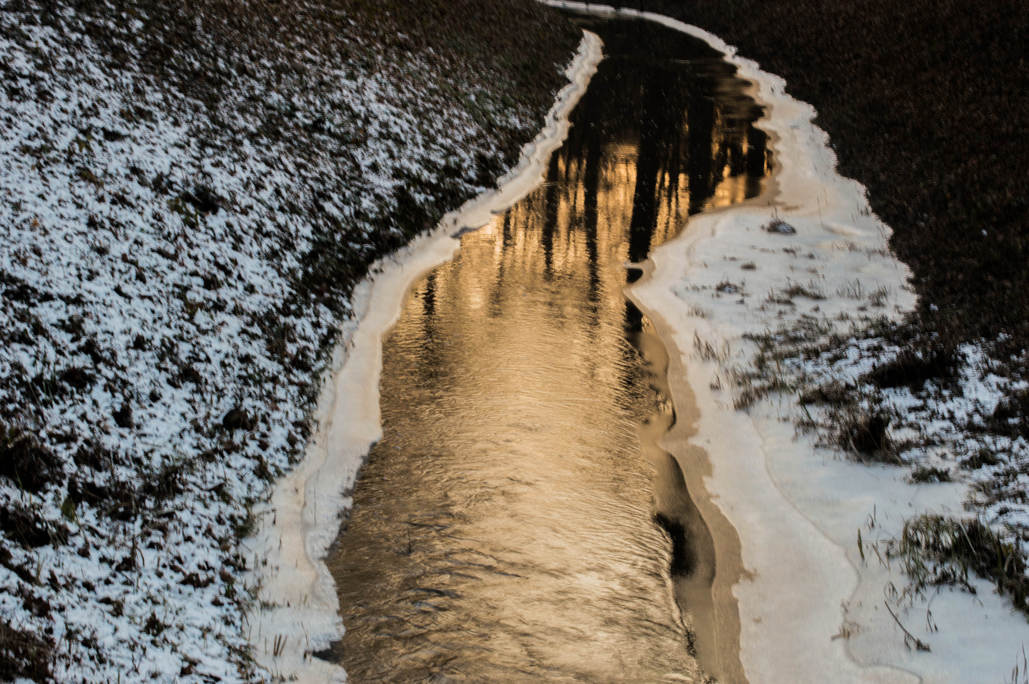 Nikon D3200 + Nikon AF-S Nikkor 50mm F1.4G sample photo. Golden at sunset photography