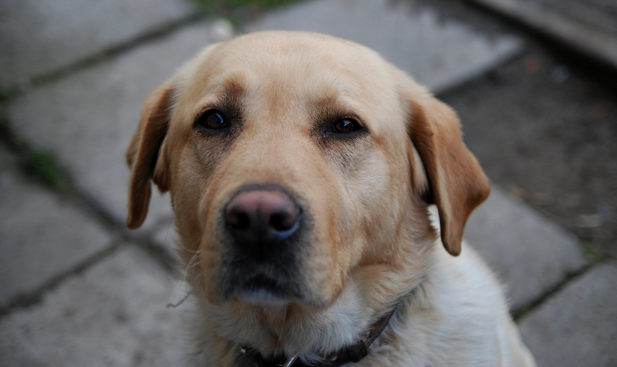 Nikon D80 sample photo. Axel photography