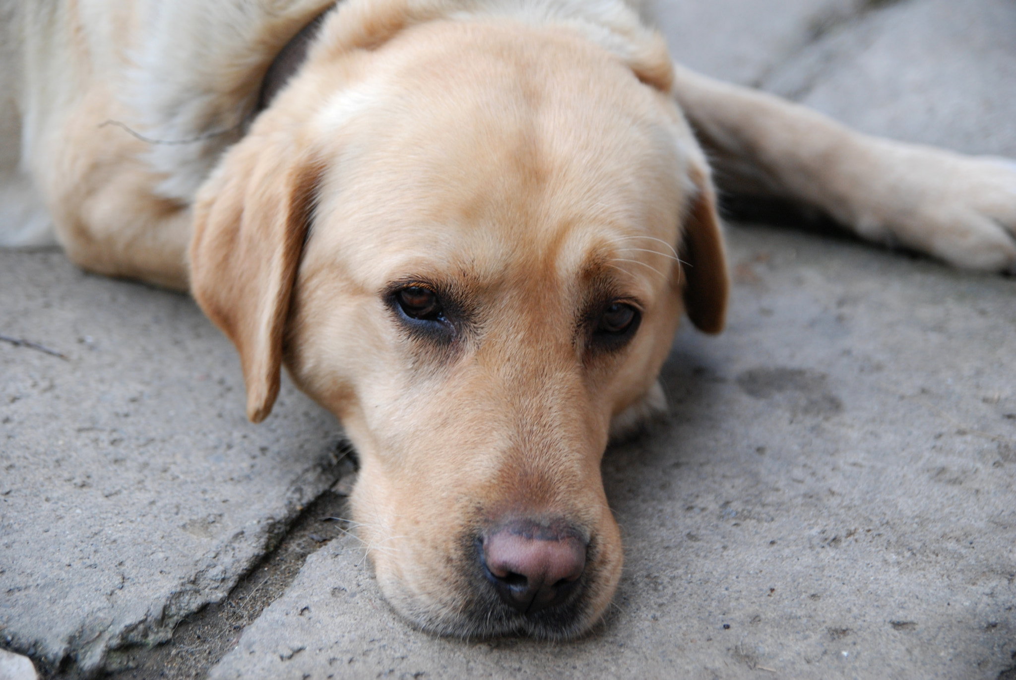 Nikon D80 sample photo. Axel3 photography