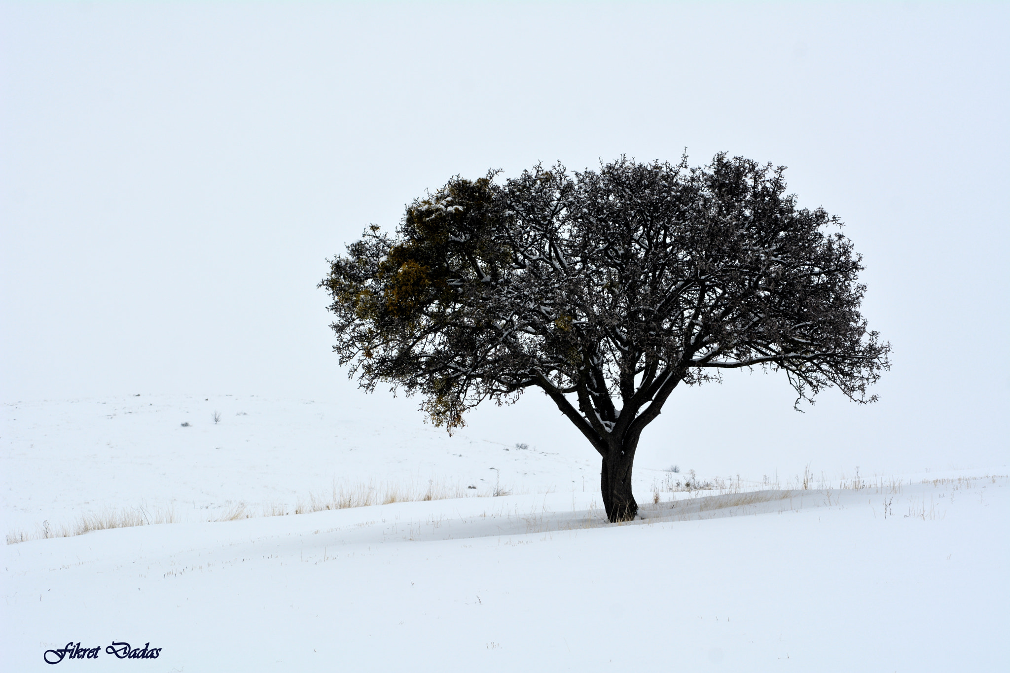 Nikon D7100 + AF Nikkor 70-210mm f/4-5.6 sample photo. Yalnızlık photography