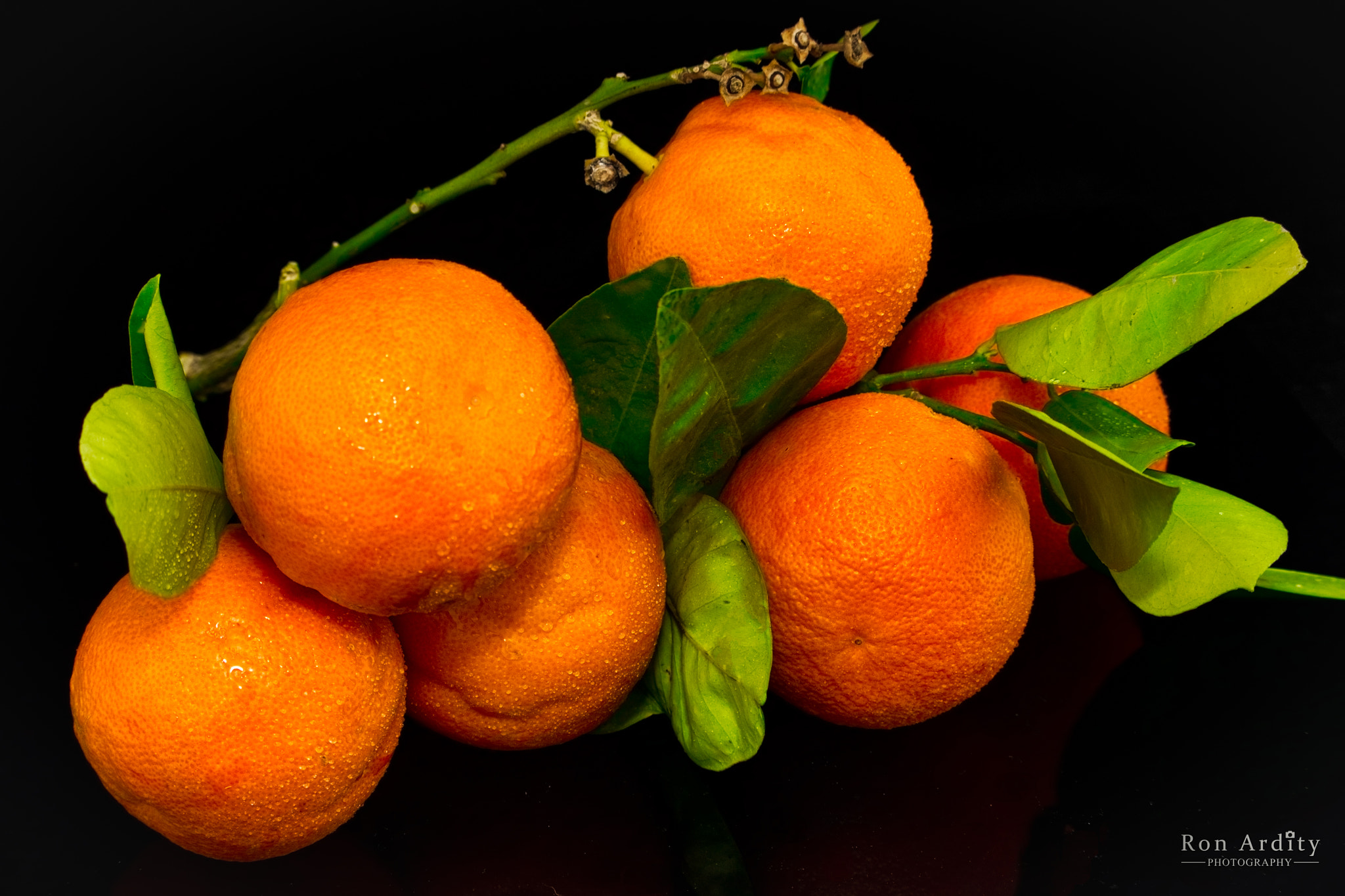 Canon EF-S 55-250mm F4-5.6 IS STM sample photo. Orange photography