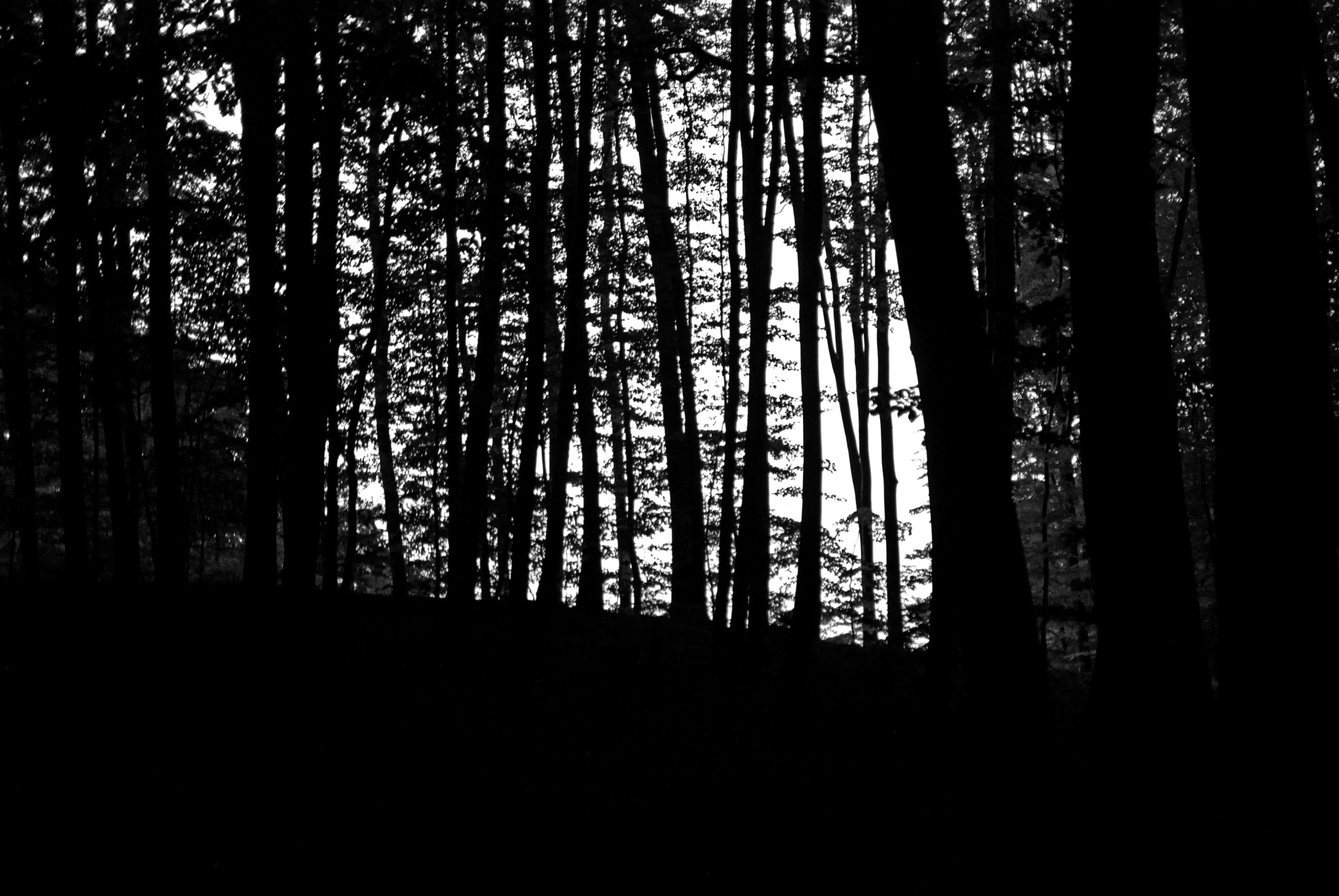 Nikon D80 sample photo. Dark photography