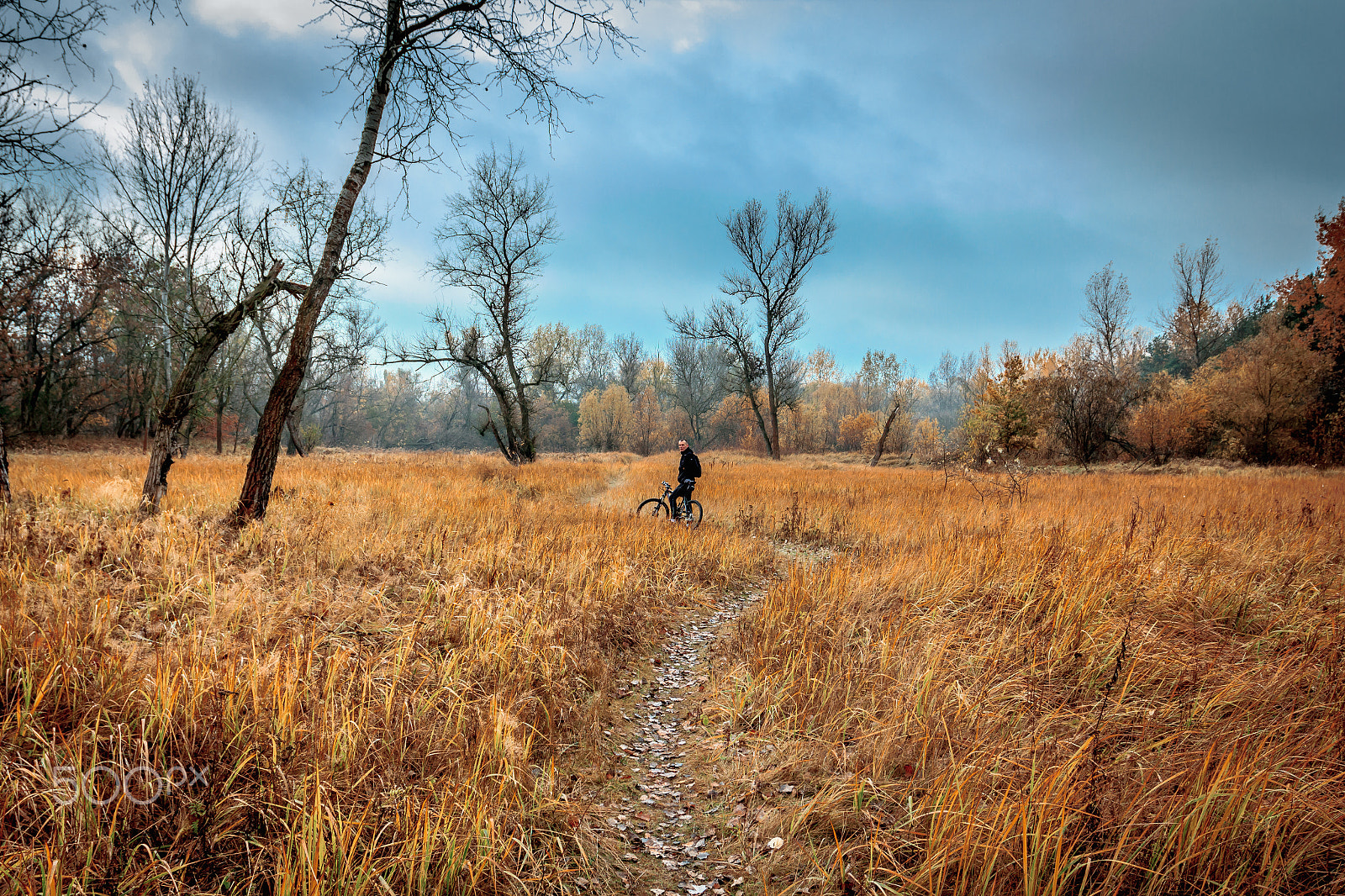 Canon EOS 550D (EOS Rebel T2i / EOS Kiss X4) + Canon EF 17-40mm F4L USM sample photo. Autumn riding photography