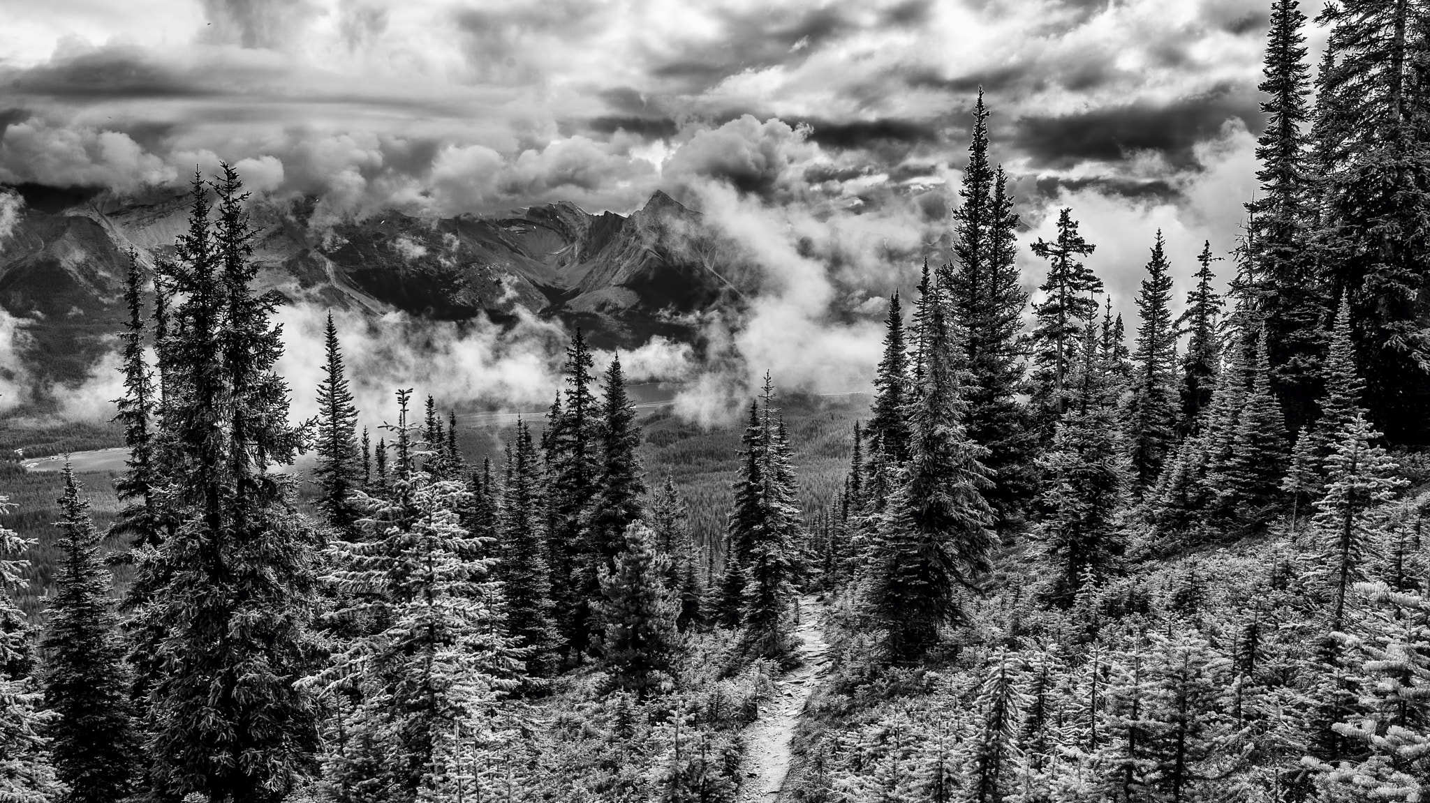 Nikon D610 + Nikon AF-S Nikkor 28mm F1.8G sample photo. Black and white view of maligne lake from bald hil photography