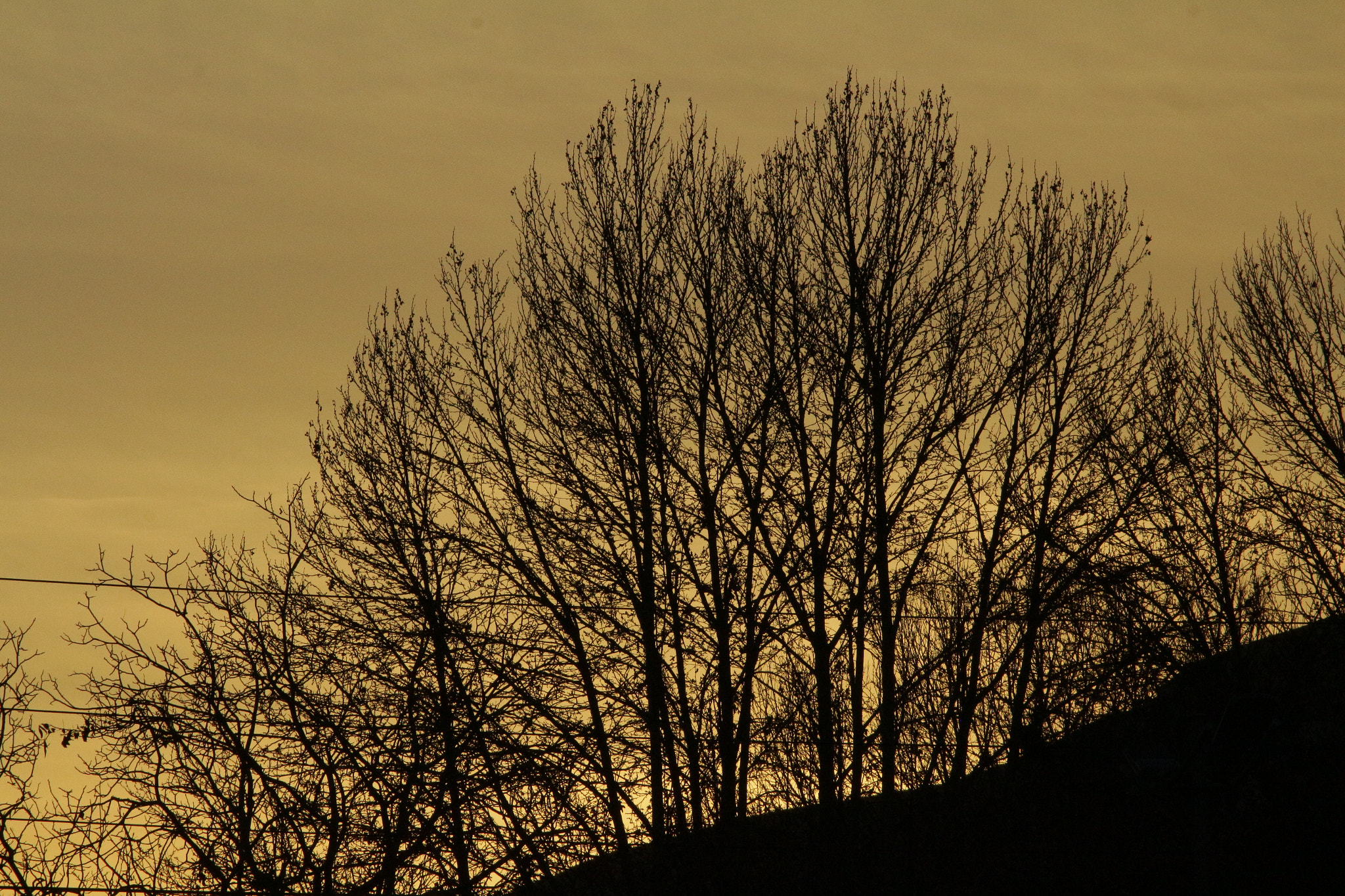 Canon EOS M sample photo
