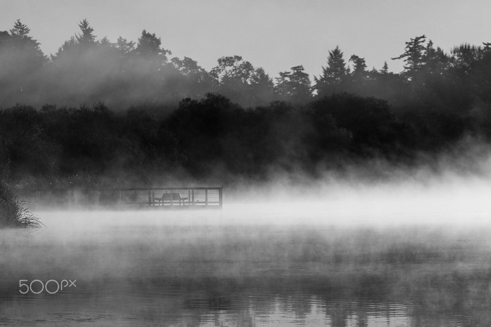 Canon EF 75-300mm f/4-5.6 USM sample photo. Mist- ery photography