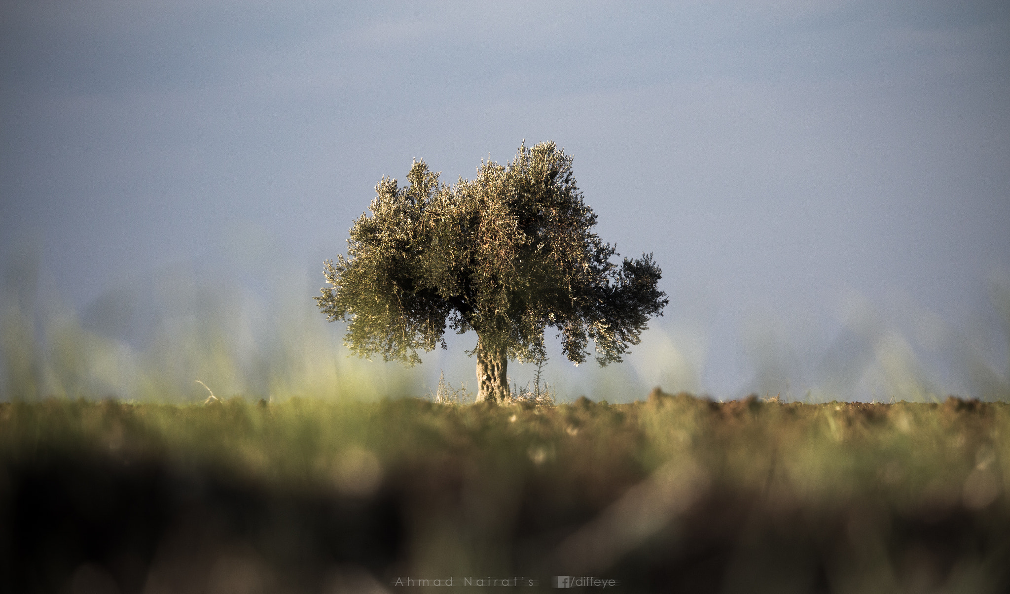 Canon EF-S 55-250mm F4-5.6 IS STM sample photo. Olivia photography