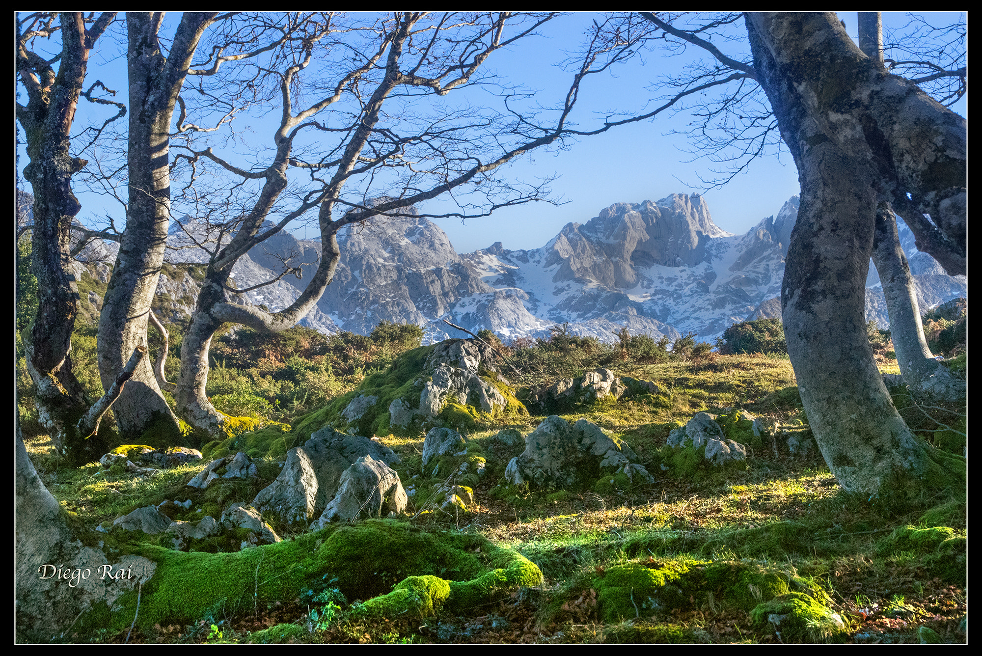 Tamron AF 18-200mm F3.5-6.3 XR Di II LD Aspherical (IF) Macro sample photo. Picos de europa. photography