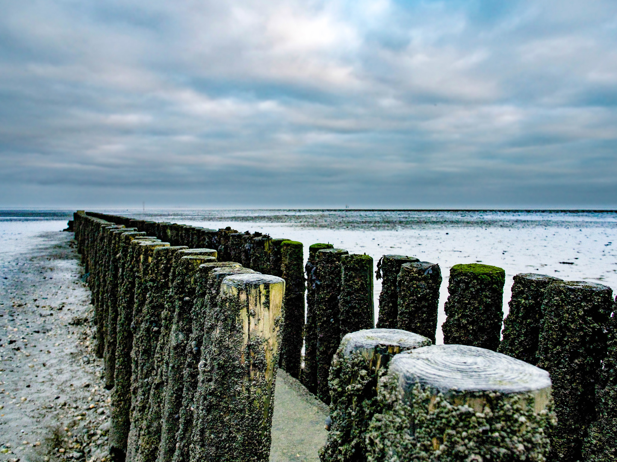 Olympus OM-D E-M5 II + OLYMPUS M.12mm F2.0 sample photo. Breakwater at the coast of horumersiel photography