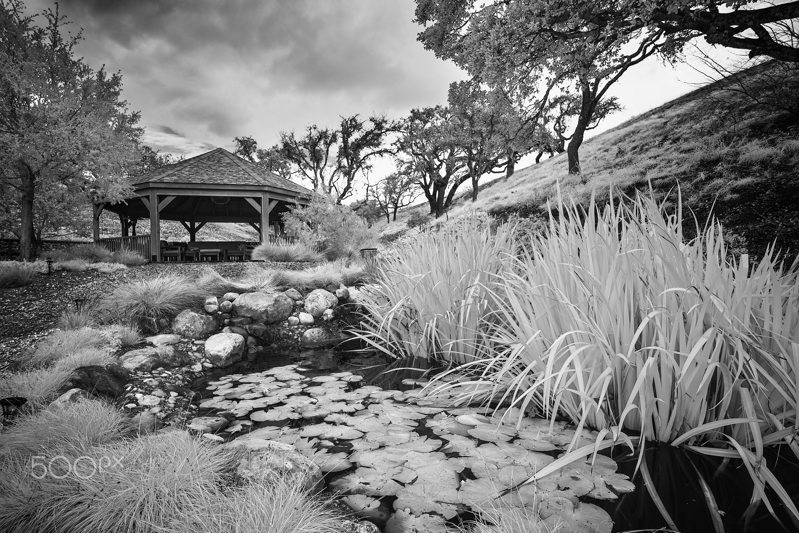 E 18mm F2.8 sample photo. Pond gazebo oak trees ir photography