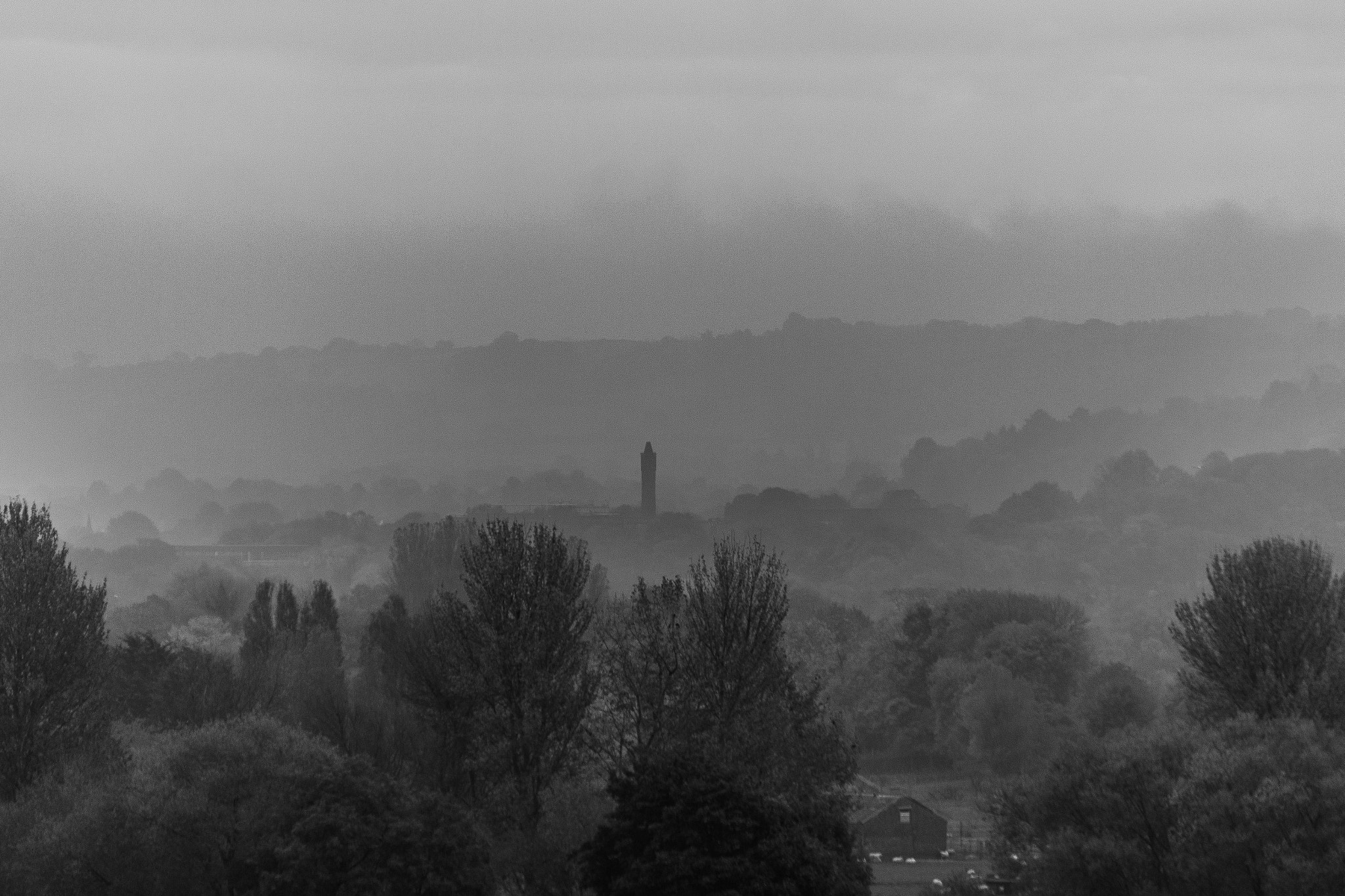 Sigma 50-200mm F4-5.6 DC OS HSM sample photo. Fog morning photography