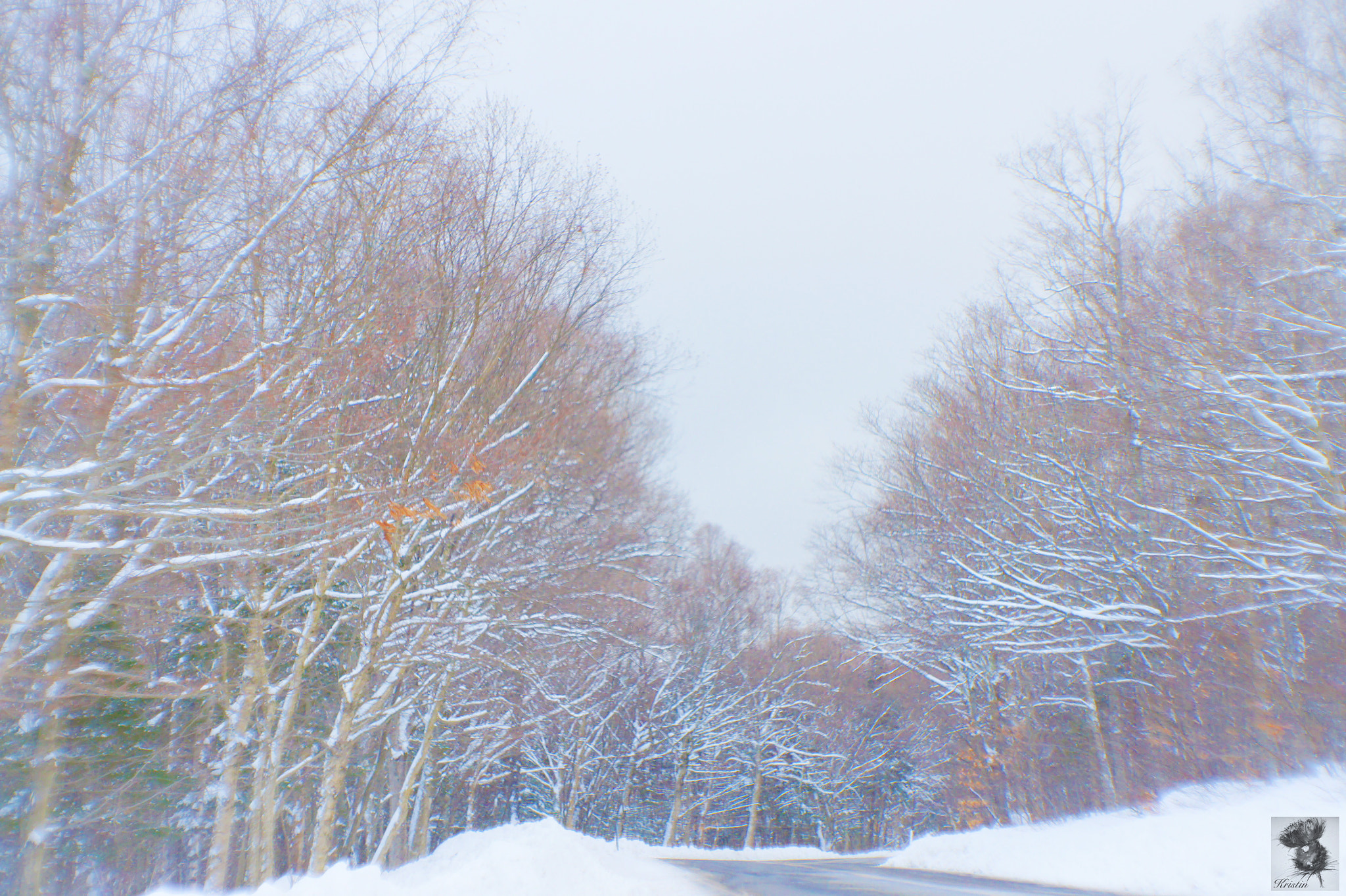 Sony Alpha NEX-3 sample photo. Mountain road photography