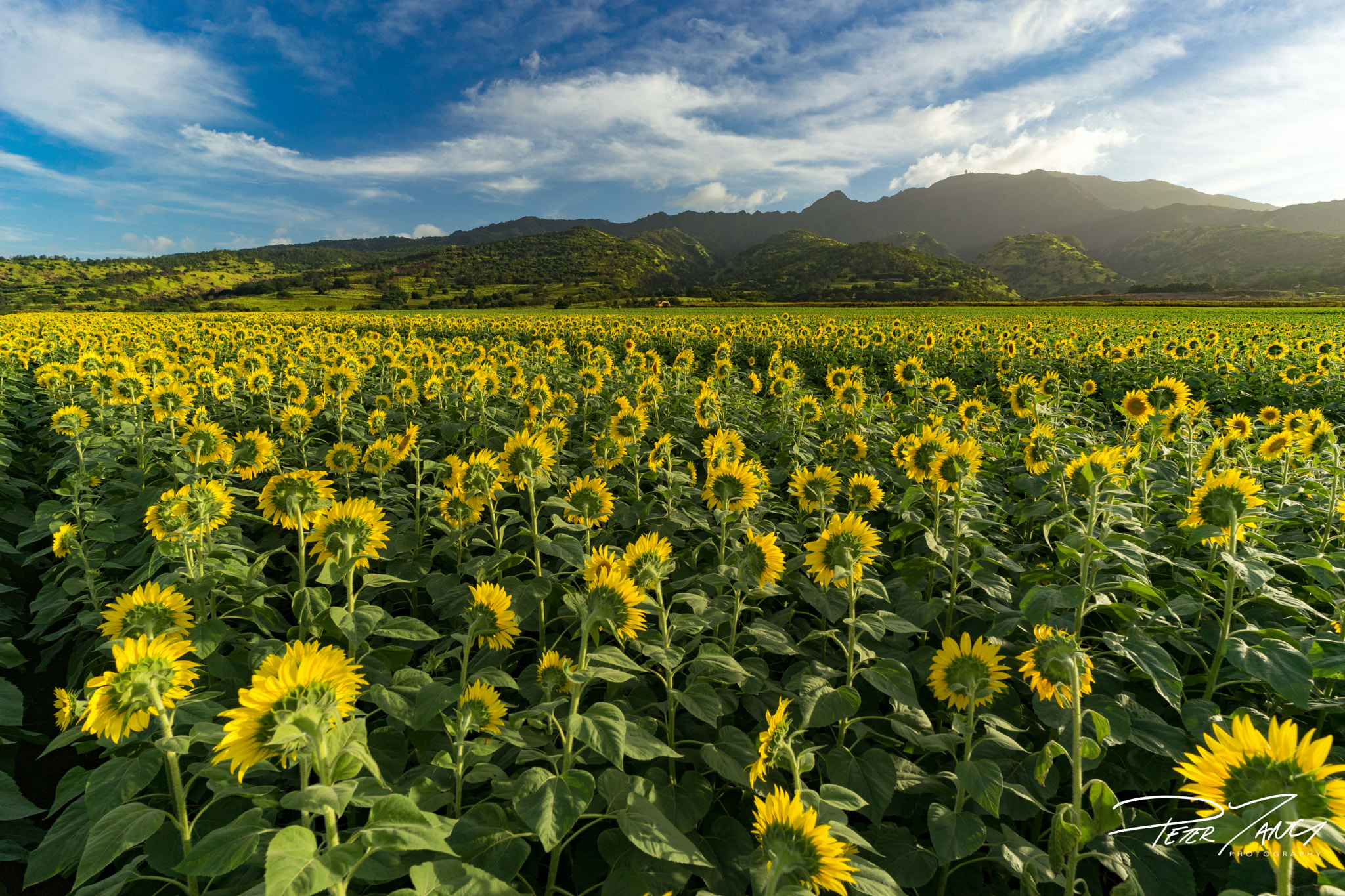 Sony a7 II + ZEISS Batis 18mm F2.8 sample photo. Facing the mointain photography