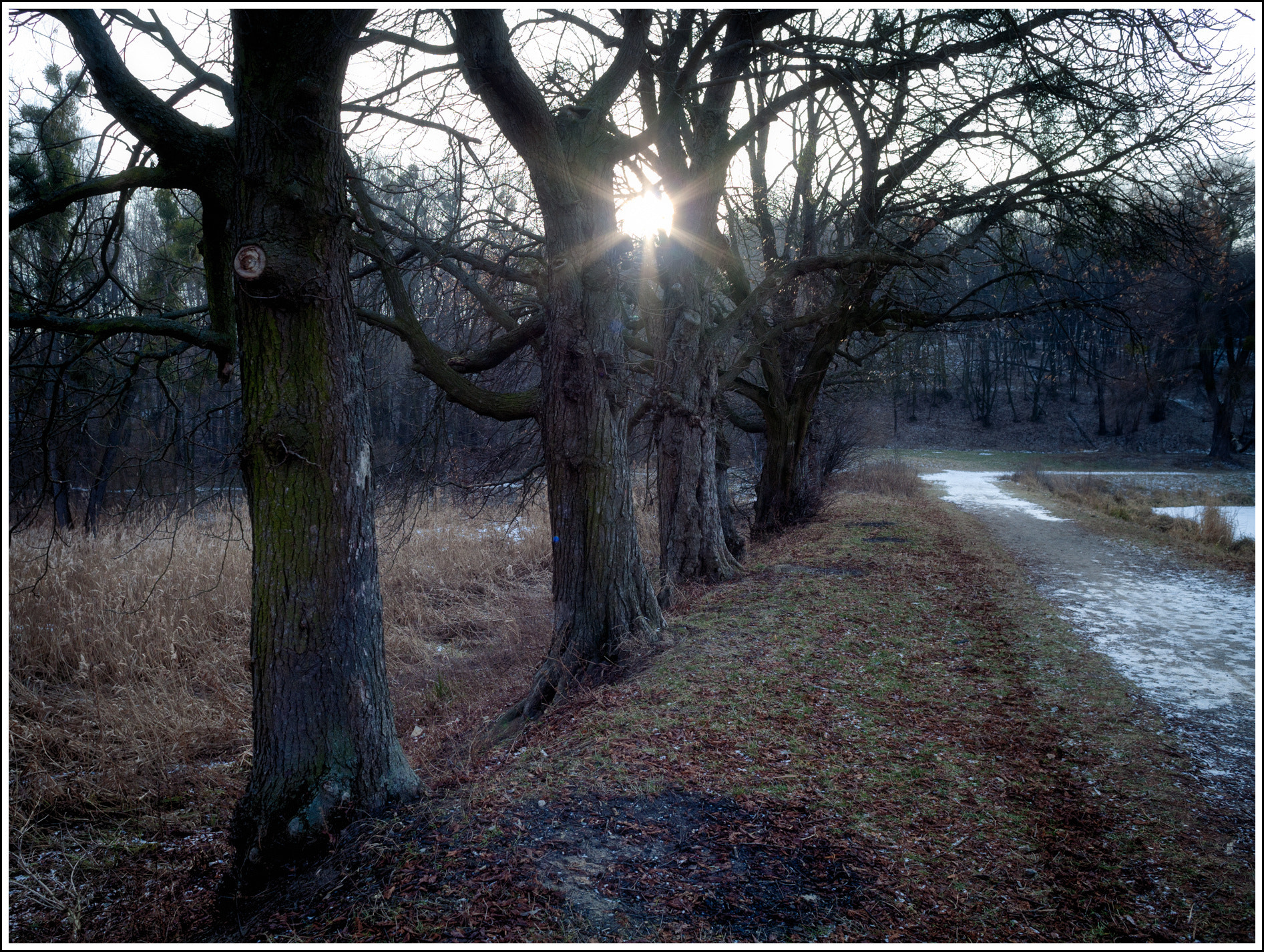 Canon EF 28-80mm f/3.5-5.6 sample photo. Sunset photography