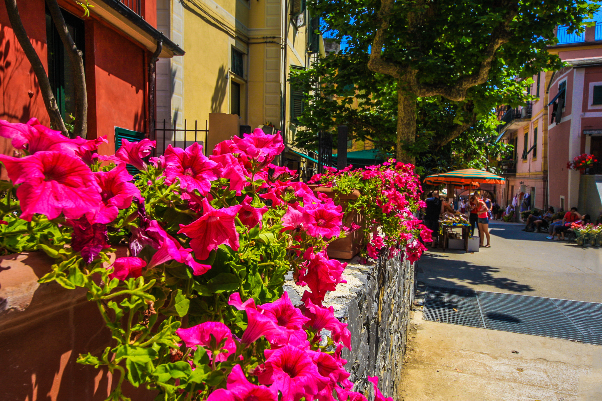 Sigma 8-16mm F4.5-5.6 DC HSM sample photo. Monterosso al mare, italy photography