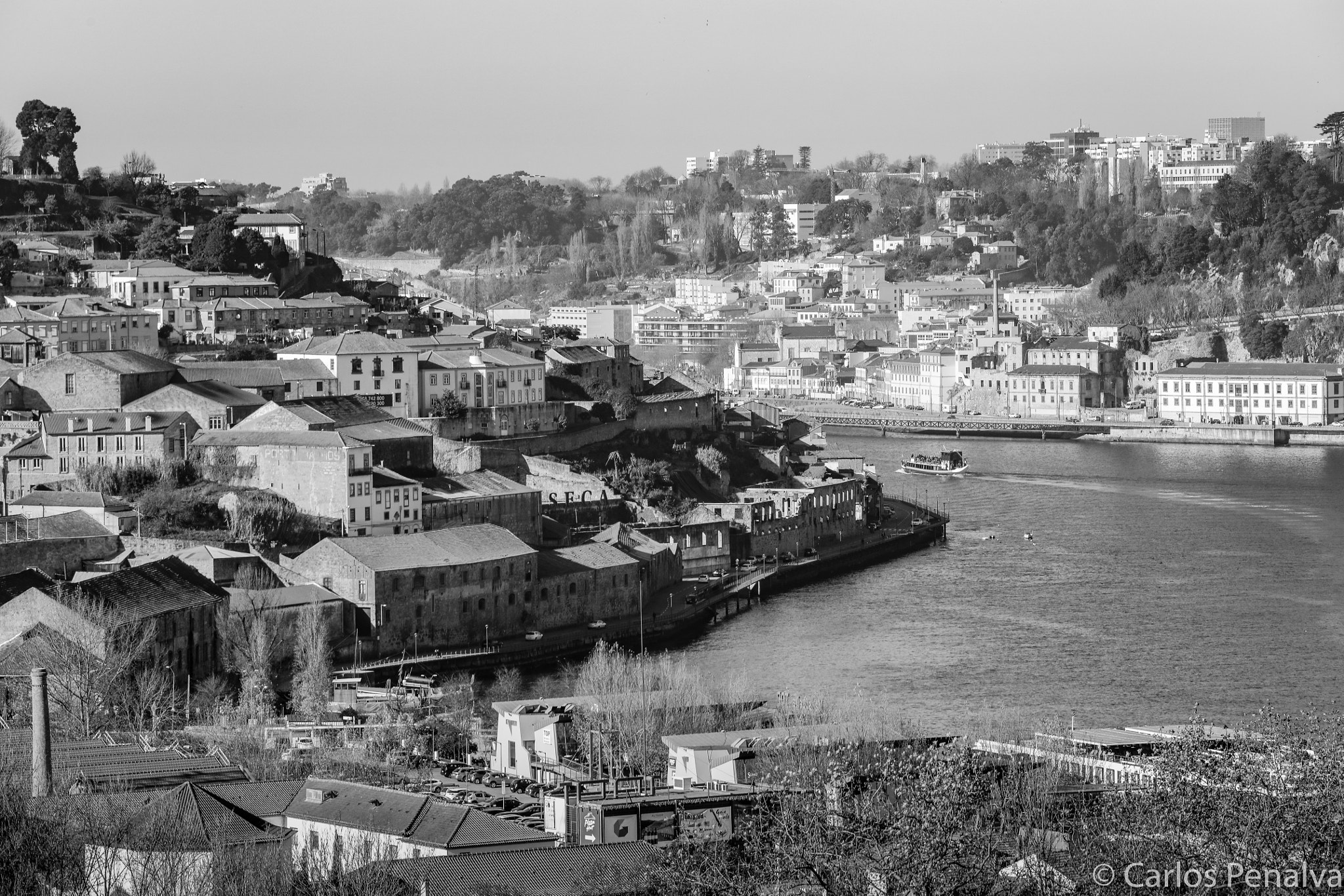 Canon EOS 5DS R + Canon EF 70-200mm F4L USM sample photo. Porto photography