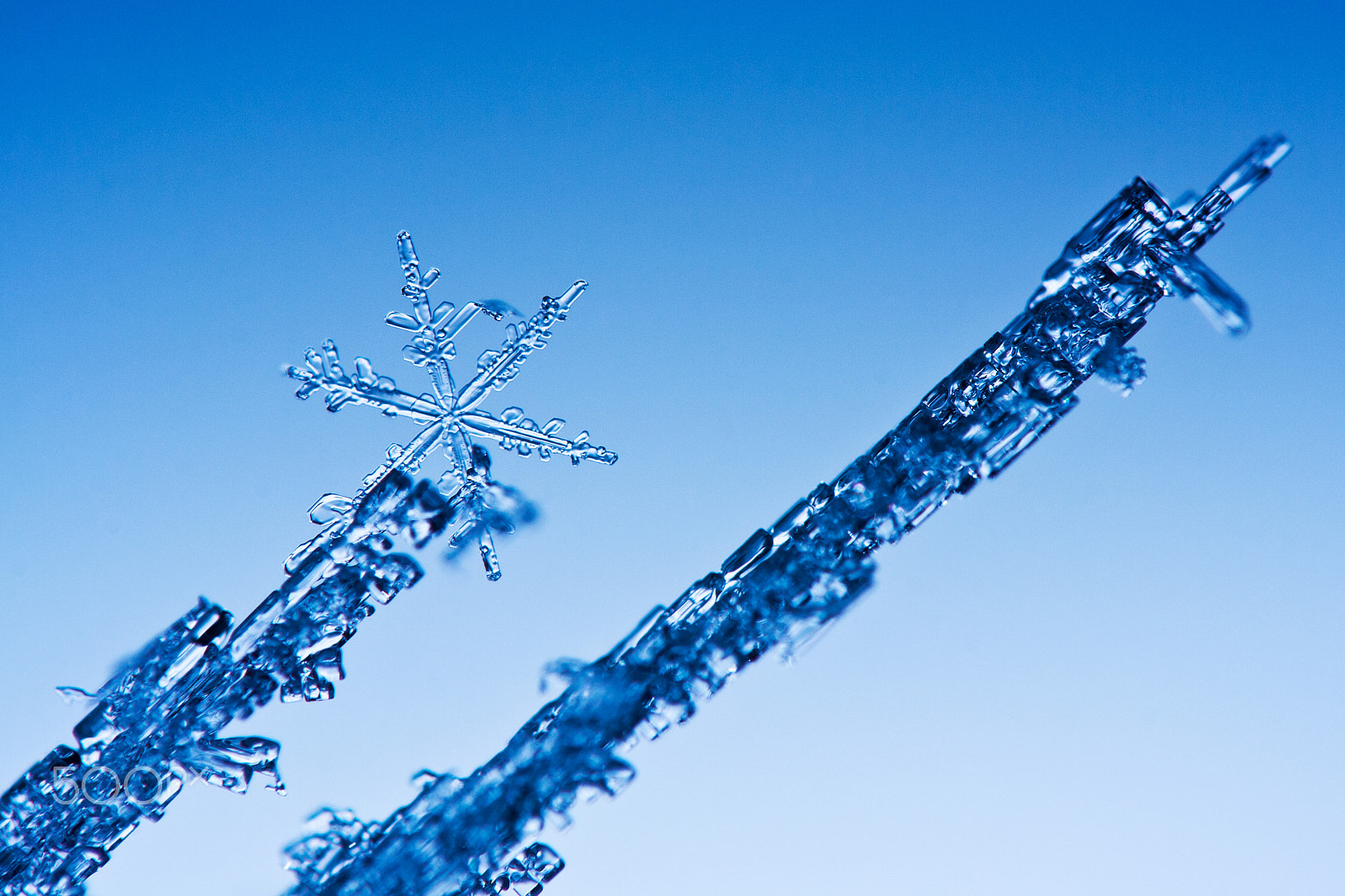 Canon EF 100mm F2.8 Macro USM sample photo. Falling snowflake photography